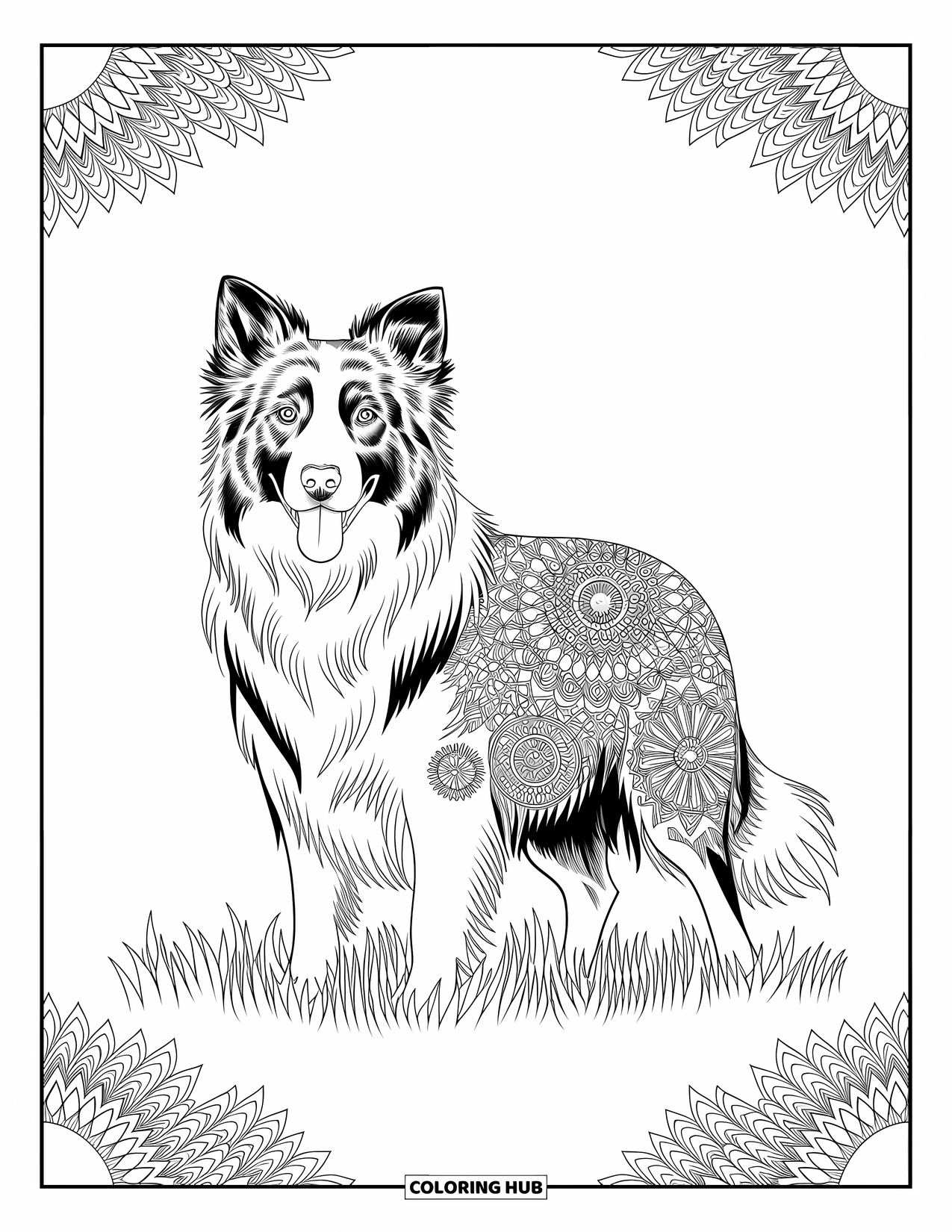 Dog Coloring Page for Adults: A Border Collie stands tall in an intricately designed field, its fur embellished with detailed patterns