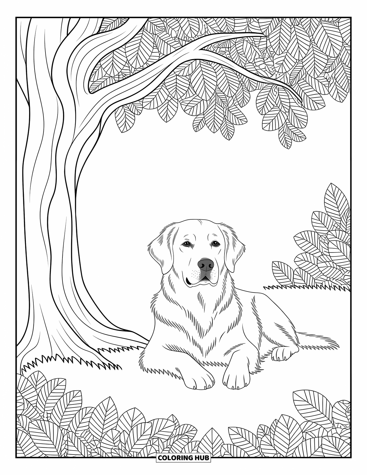 Dog Coloring Page for Adults: A Golden Retriever rests peacefully under a tree, surrounded by intricate forest patterns