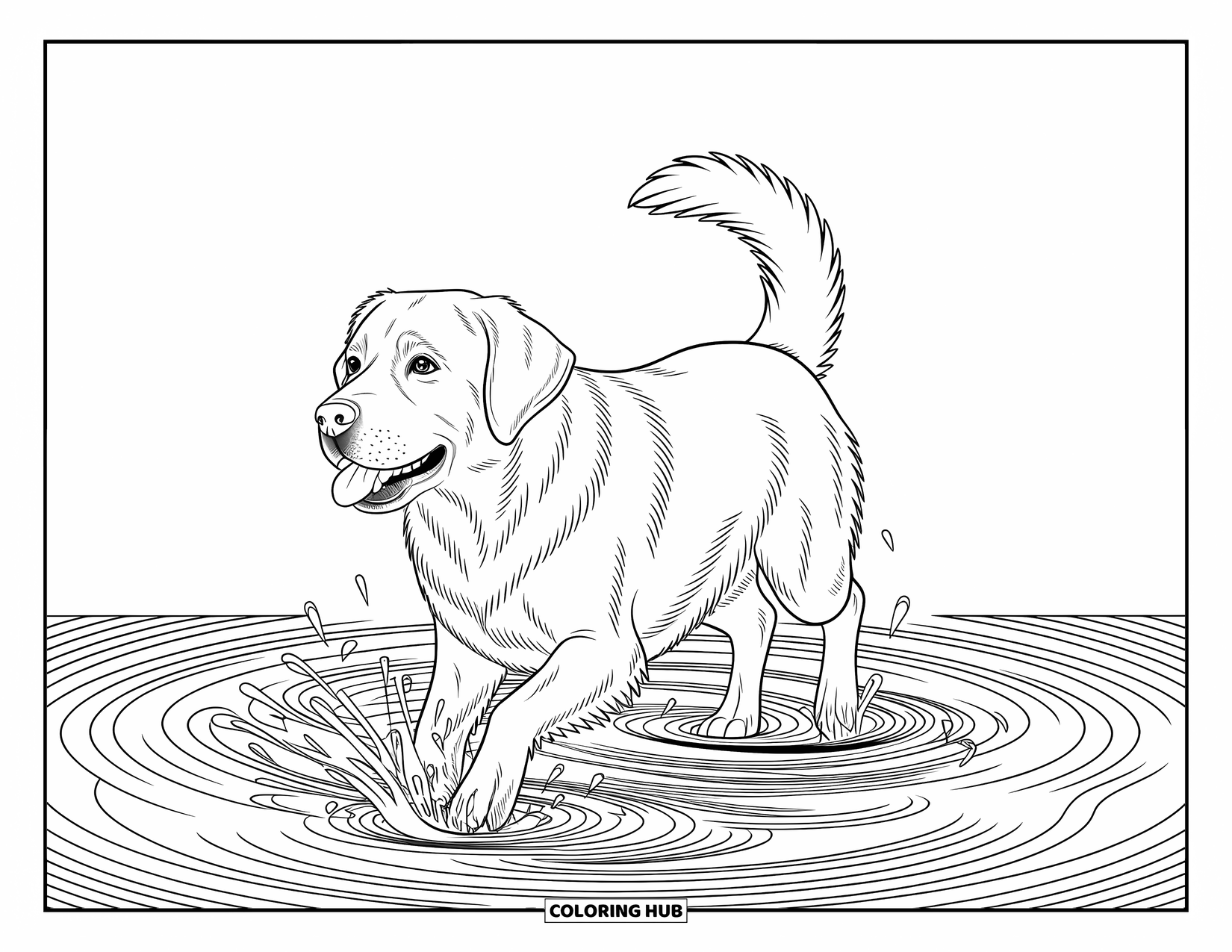 Dog Coloring Page for Adults: A Labrador splashes playfully, water droplets scattering amid a backdrop of detailed waves