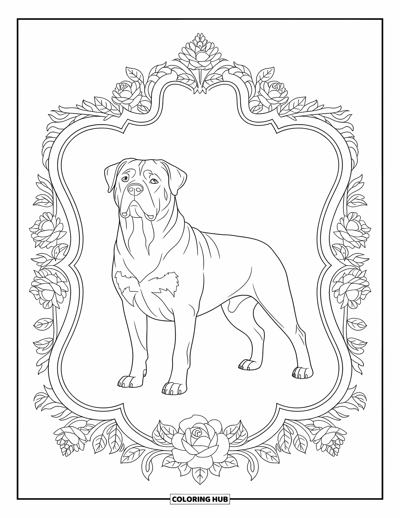 Dog Coloring Page for Adults: A noble Rottweiler poses confidently, surrounded by intricate floral and baroque-style patterns