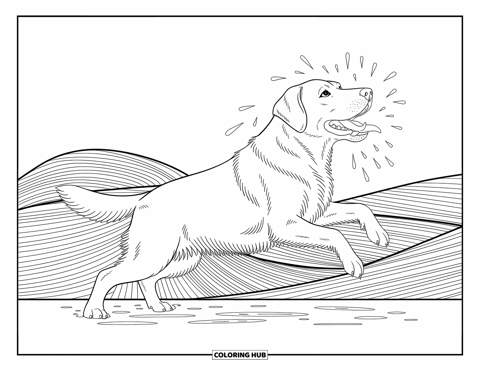 Dog Coloring Page for Adults: A poised poodle features an intricate curly coat, surrounded by elegant decorative patterns