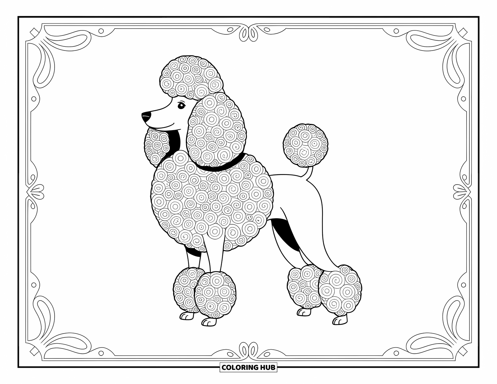 Dog Coloring Page for Adults: A poised poodle with an intricate, swirling coat is surrounded by ornate decorative elements