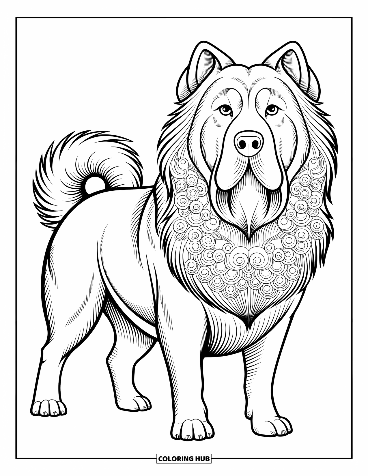 Dog Coloring Page for Adults: A Whippet curls up gracefully inside a frame filled with ornamental flourishes and patterns