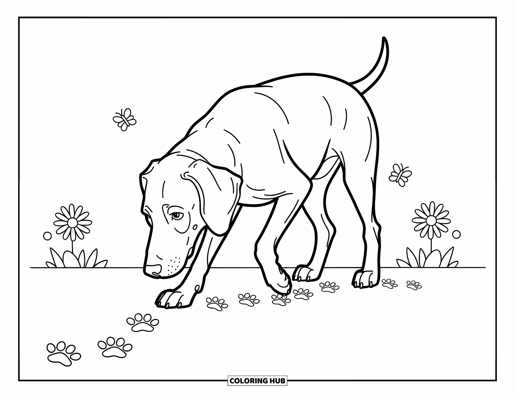 Dog Coloring Page for Kids: A curious Weimaraner sniffs a trail of tiny paw prints, surrounded by playful daisies and butterflies