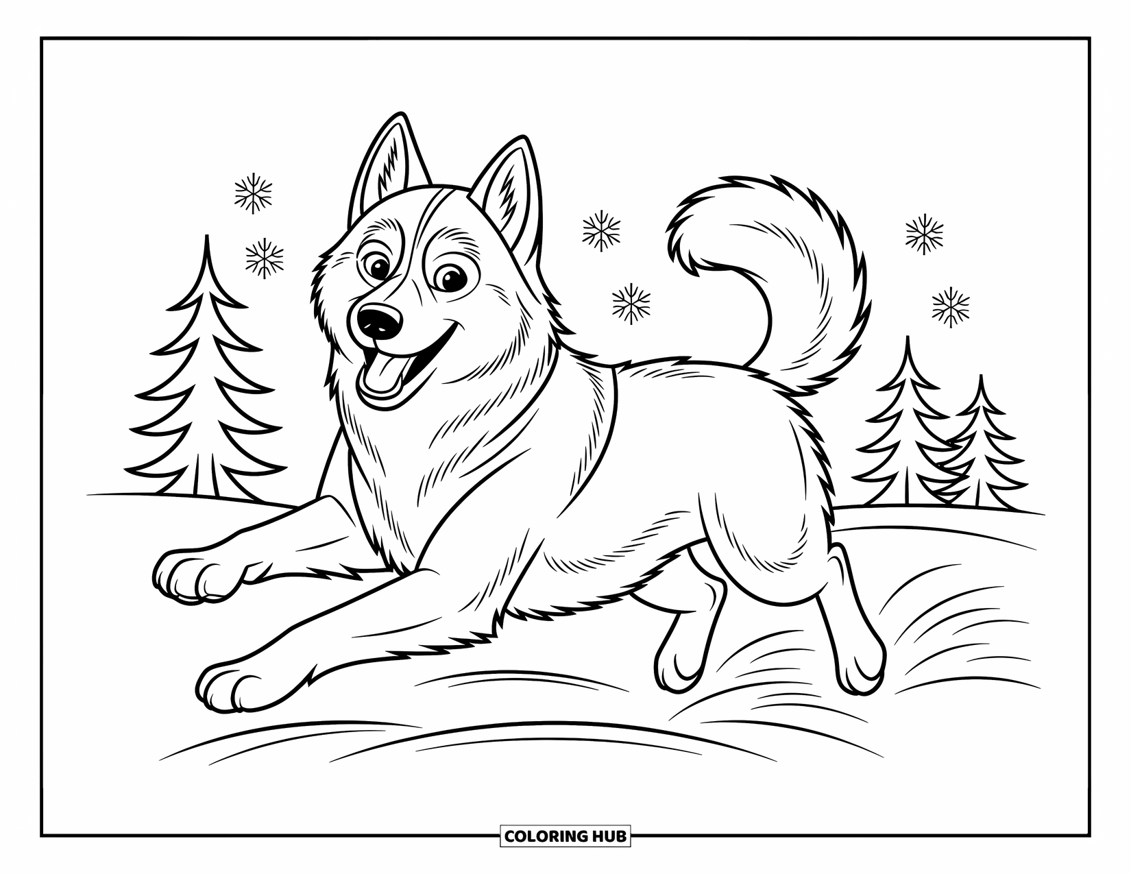 Dog Coloring Page for Kids: A lively Siberian Husky bounds through the snow, tail wagging joyfully with every step