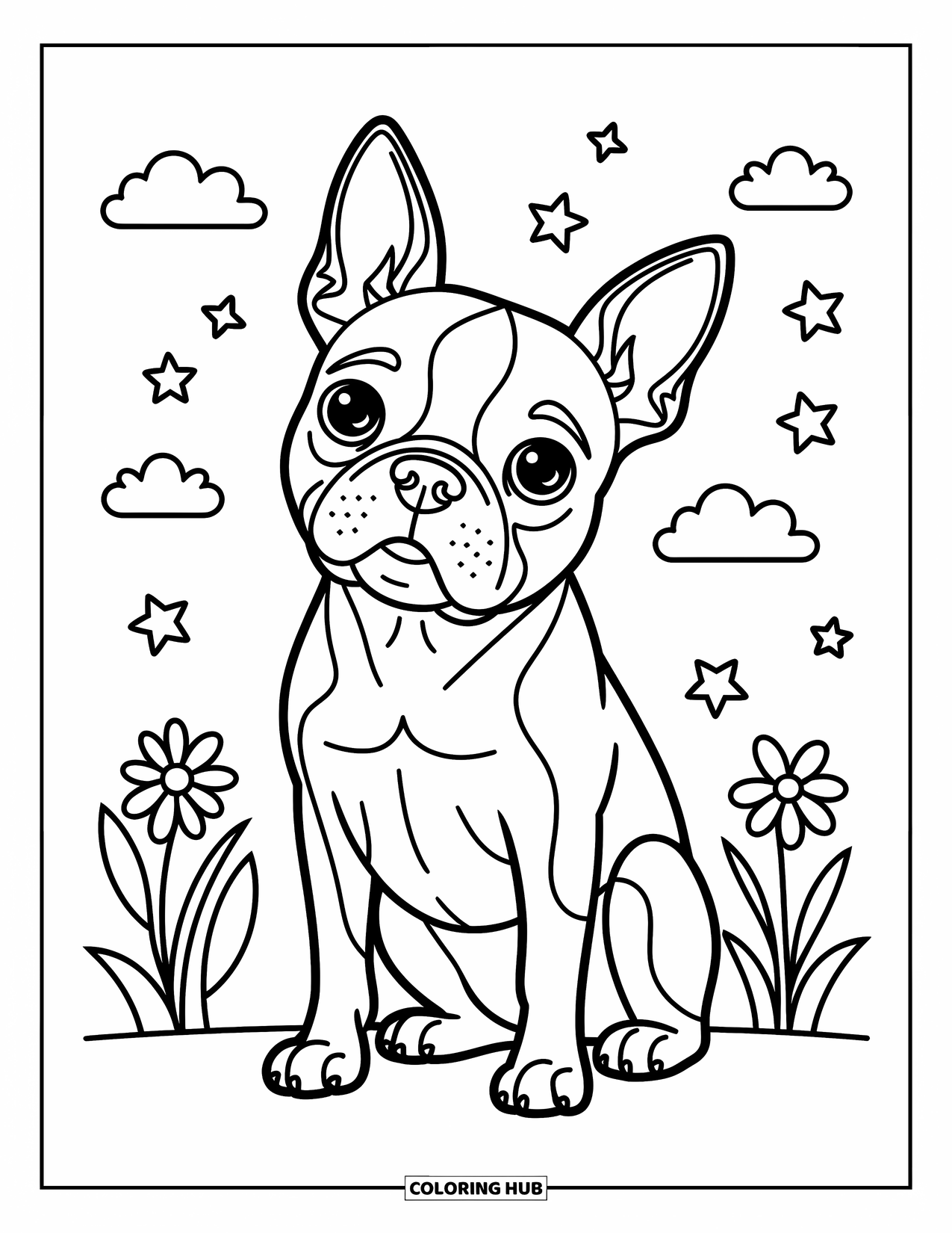 Dog Coloring Page for Kids: A sweet Boston Terrier gazes curiously, ears perked, framed by delicate flowers and stars