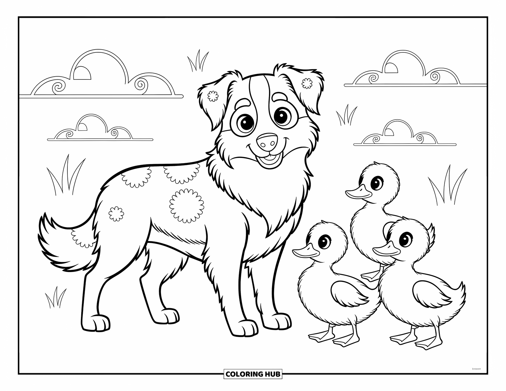 Dog Coloring Page for Kids: A watchful Australian Shepherd stands confidently as three ducklings waddle nearby
