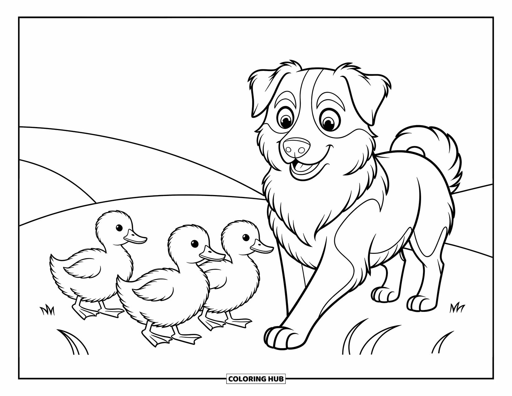 Dog Coloring Page for Kids: An Australian Shepherd guides three fluffy ducklings across a meadow with focused care