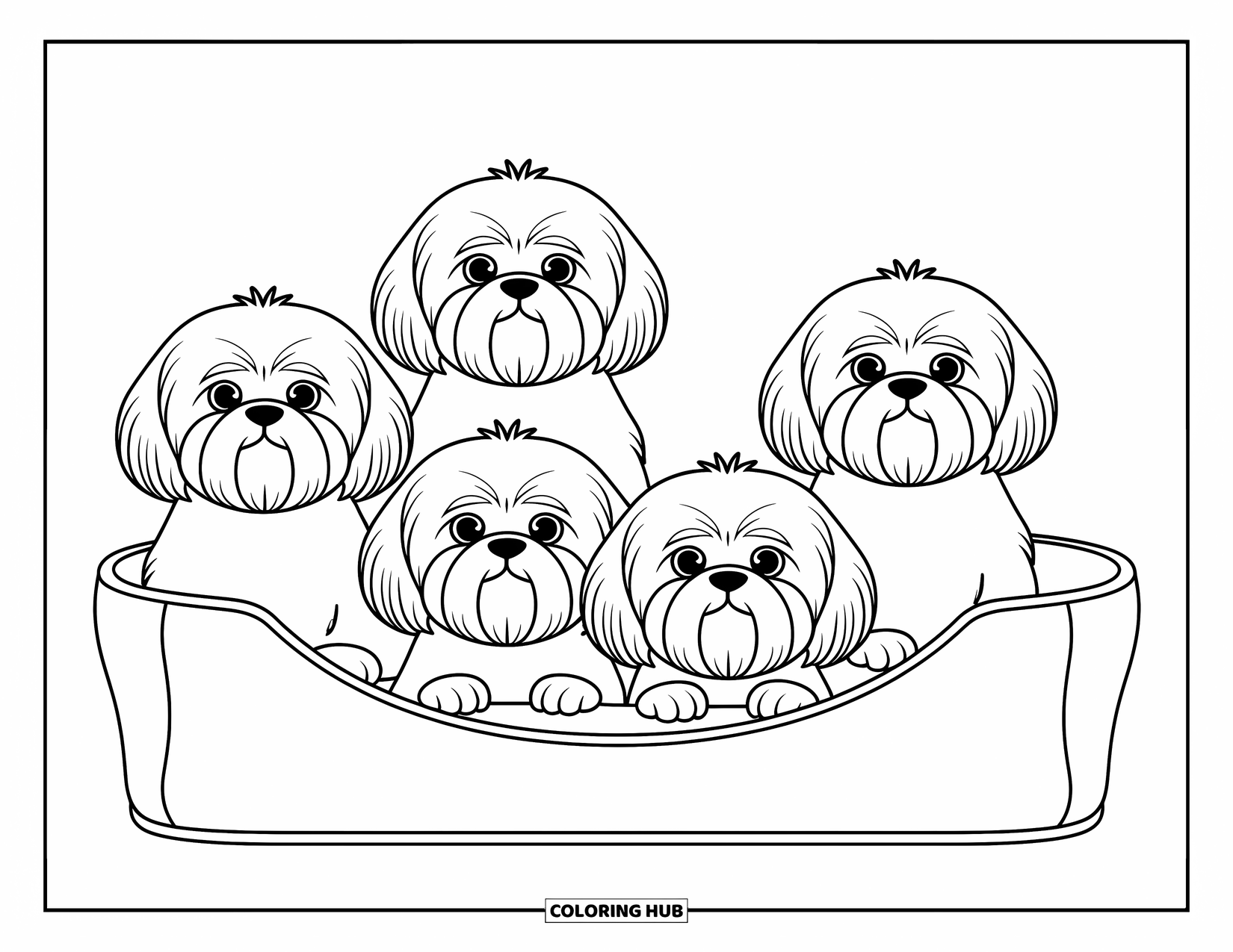 Dog Coloring Page for Kids: Four fluffy Shih Tzu dogs rest cozily, nestled together in a simple dog bed