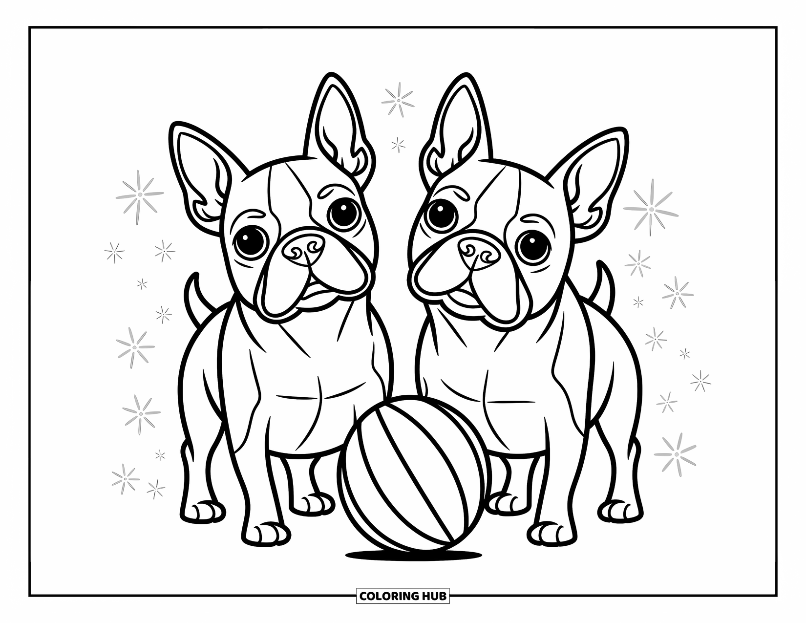 Dog Coloring Page for Kids: Two adorable Boston Terriers watch a bouncing ball, their playful expressions full of curiosity