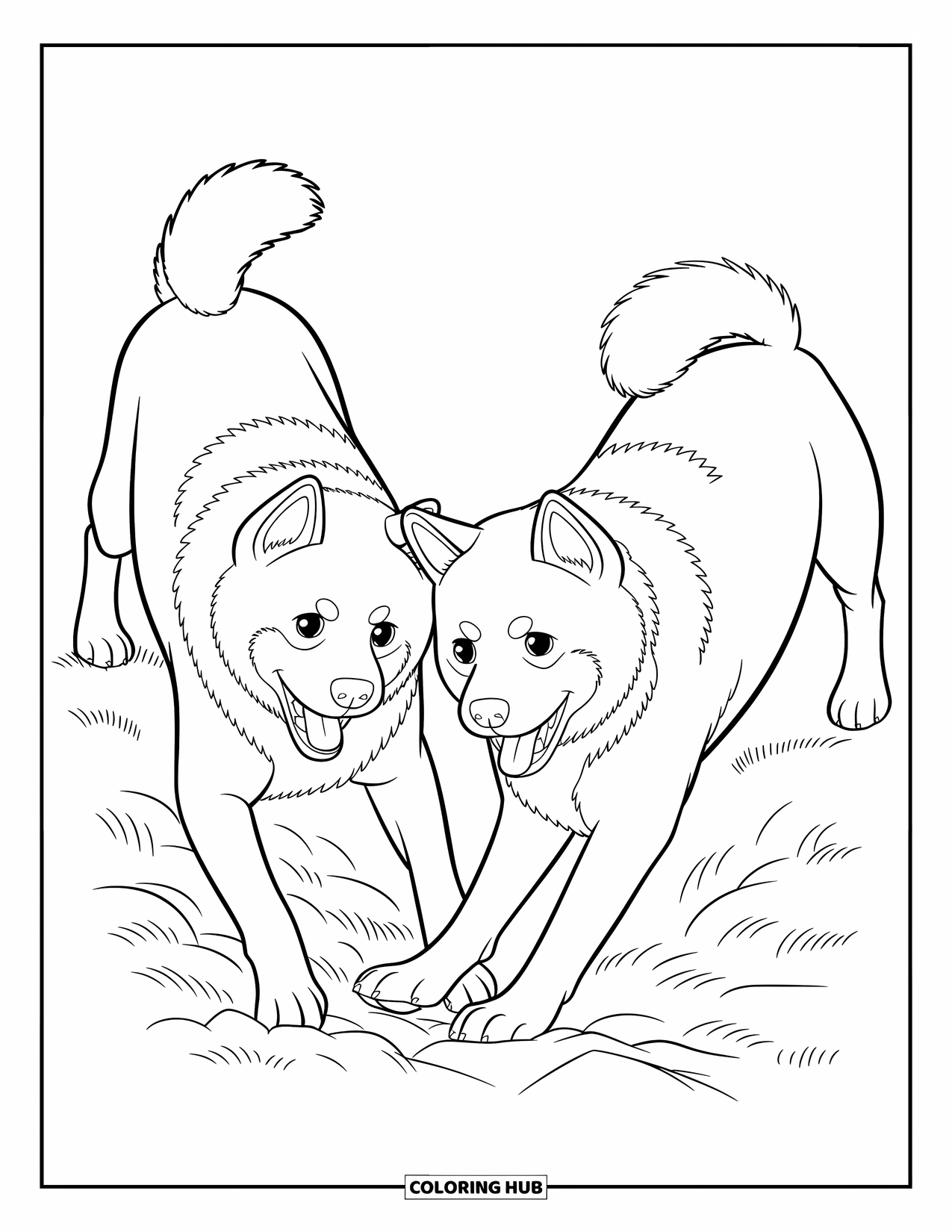 Dog Coloring Page for Kids: Two curious Akita dogs dig eagerly, their tails wagging as they explore the soft ground