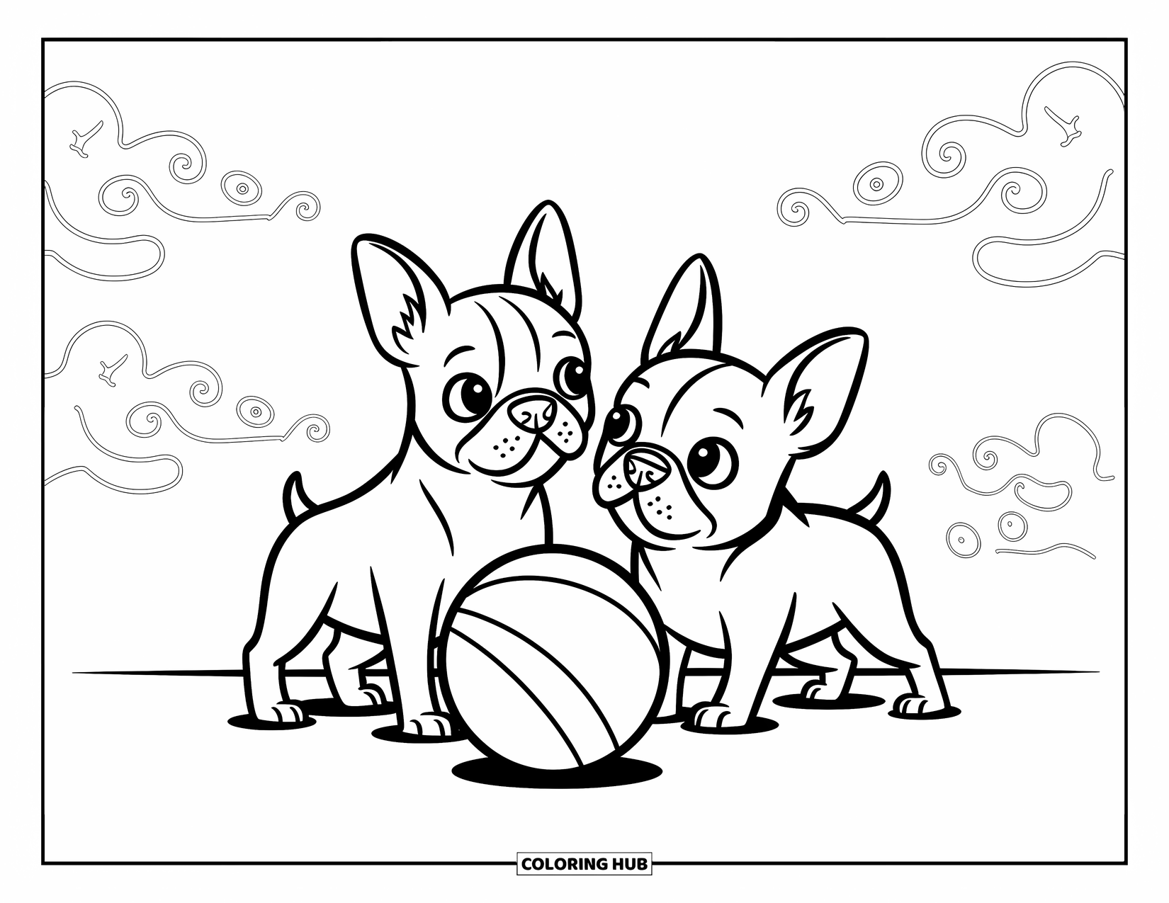 Dog Coloring Page for Kids: Two curious Boston Terriers tilt their heads at a bouncing ball, surrounded by whimsical patterns