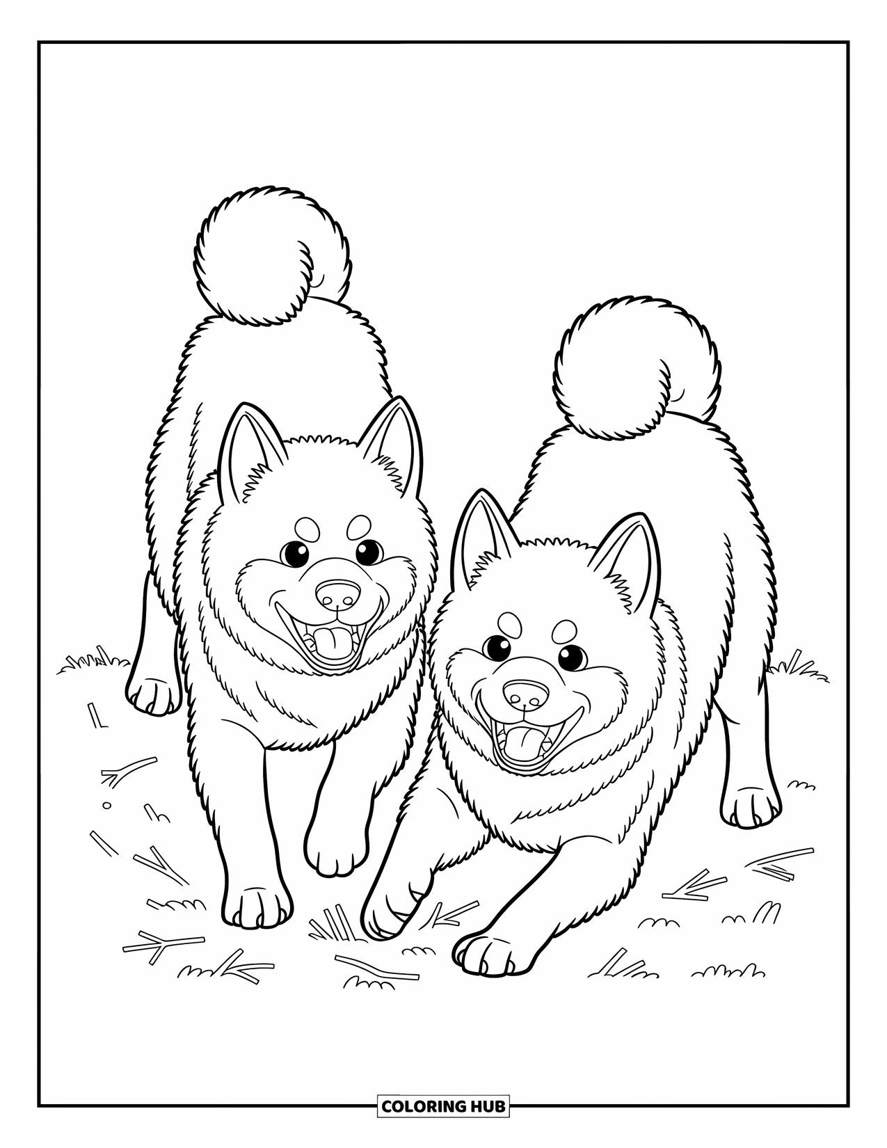 Dog Coloring Page for Kids: Two playful Akita dogs dig in the dirt, their fluffy tails wagging with excitement