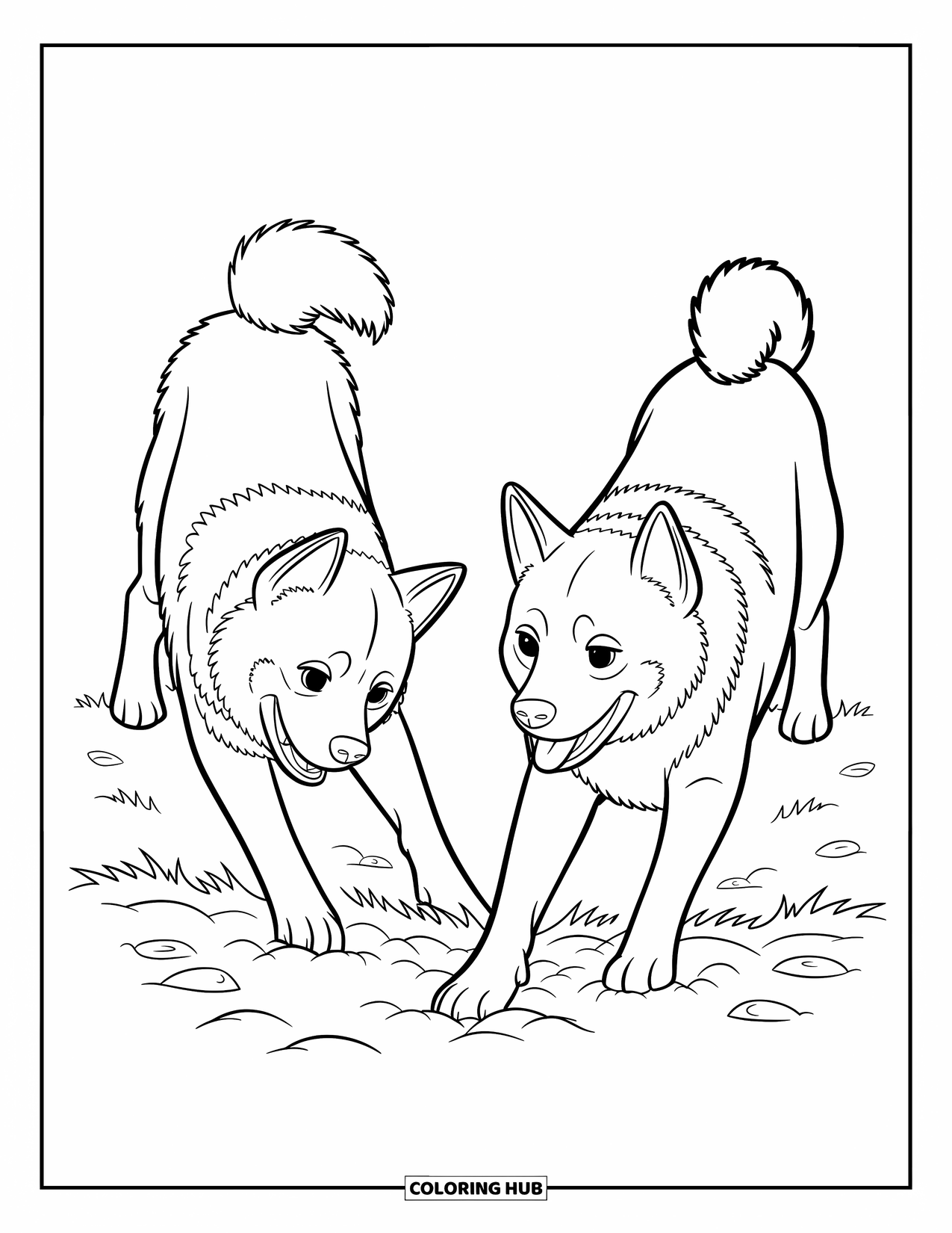 Dog Coloring Page for Kids: Two playful Akita dogs excitedly dig in the dirt, paws kicking up small clumps of earth
