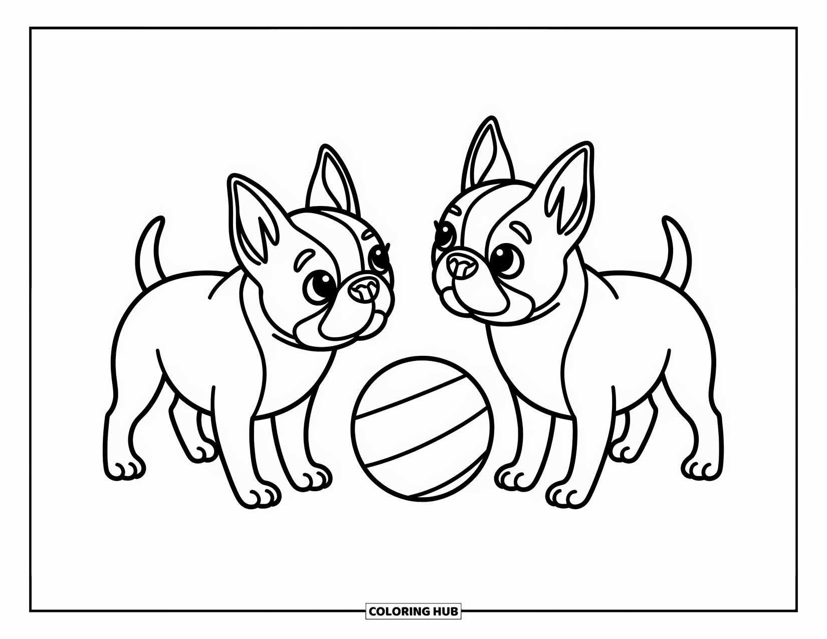 Dog Coloring Page for Kids: Two playful Boston Terriers tilt their heads at a ball, surrounded by charming doodles