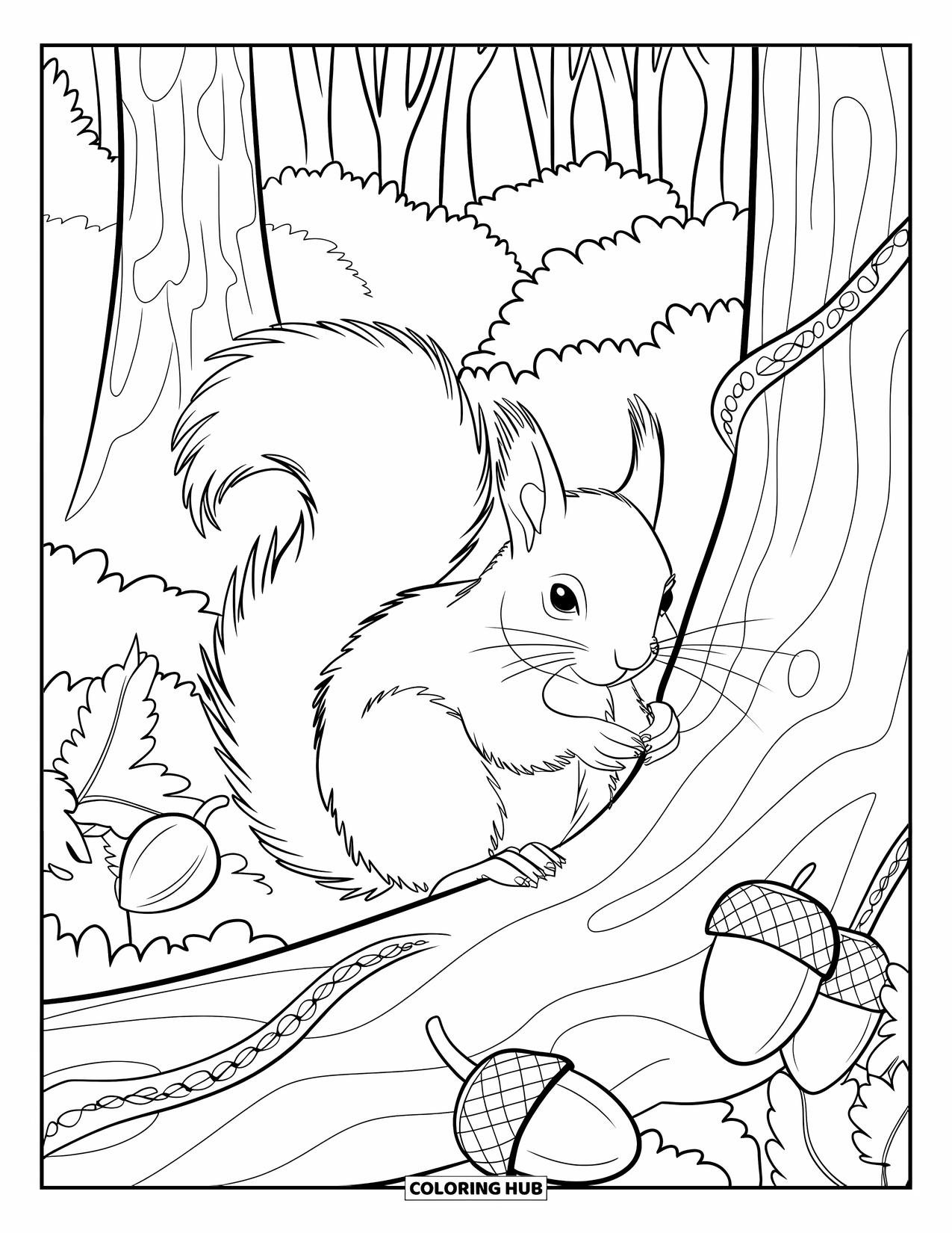 Herfst Kleurplaat voor Volwassenen: Een eekhoorn met een dikke staart verzamelt eikels, zittend tussen krullende wijnranken en hoge bomen