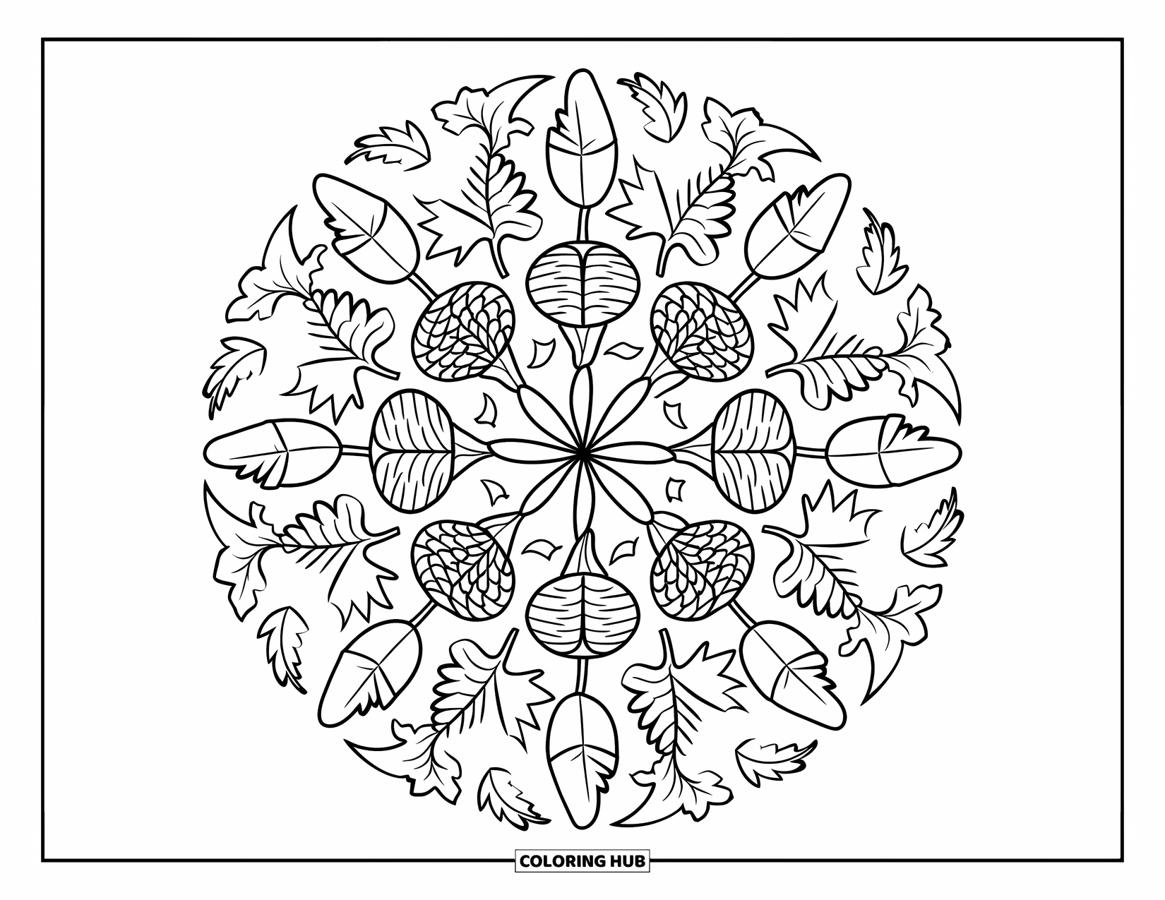 Herfst Kleurplaat voor Volwassenen: Een ingewikkelde herfstmandala gevuld met eikels, wervelende wijnranken en esdoornbladeren