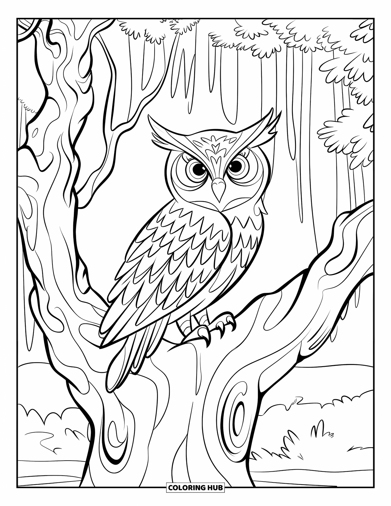 Herfst Kleurplaat voor Kinderen: Een mystieke uil zit in een knoestige boom en waakt over het donkere bos