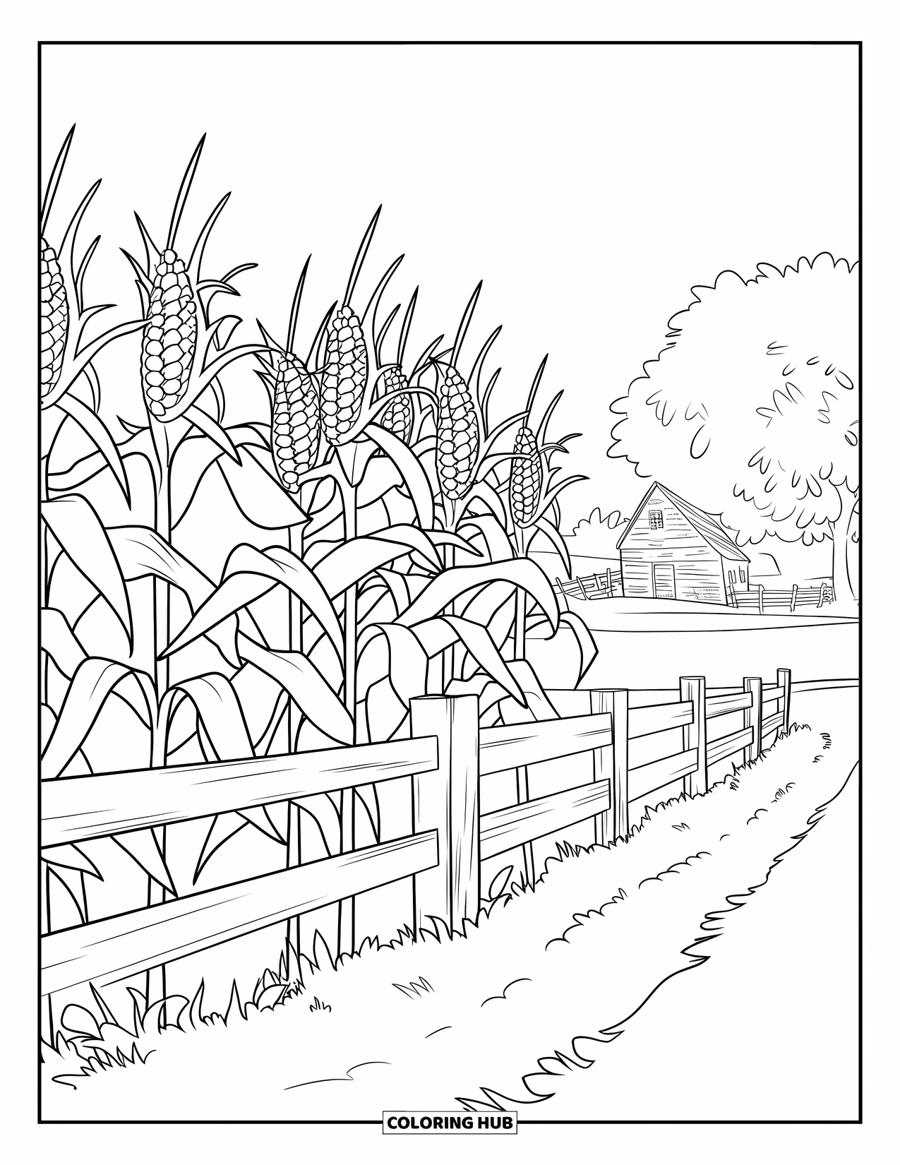 Herfst Kleurplaat voor Kinderen: Een lang maisveld strekt zich uit naar een rustieke boerderij achter een verweerd houten hek
