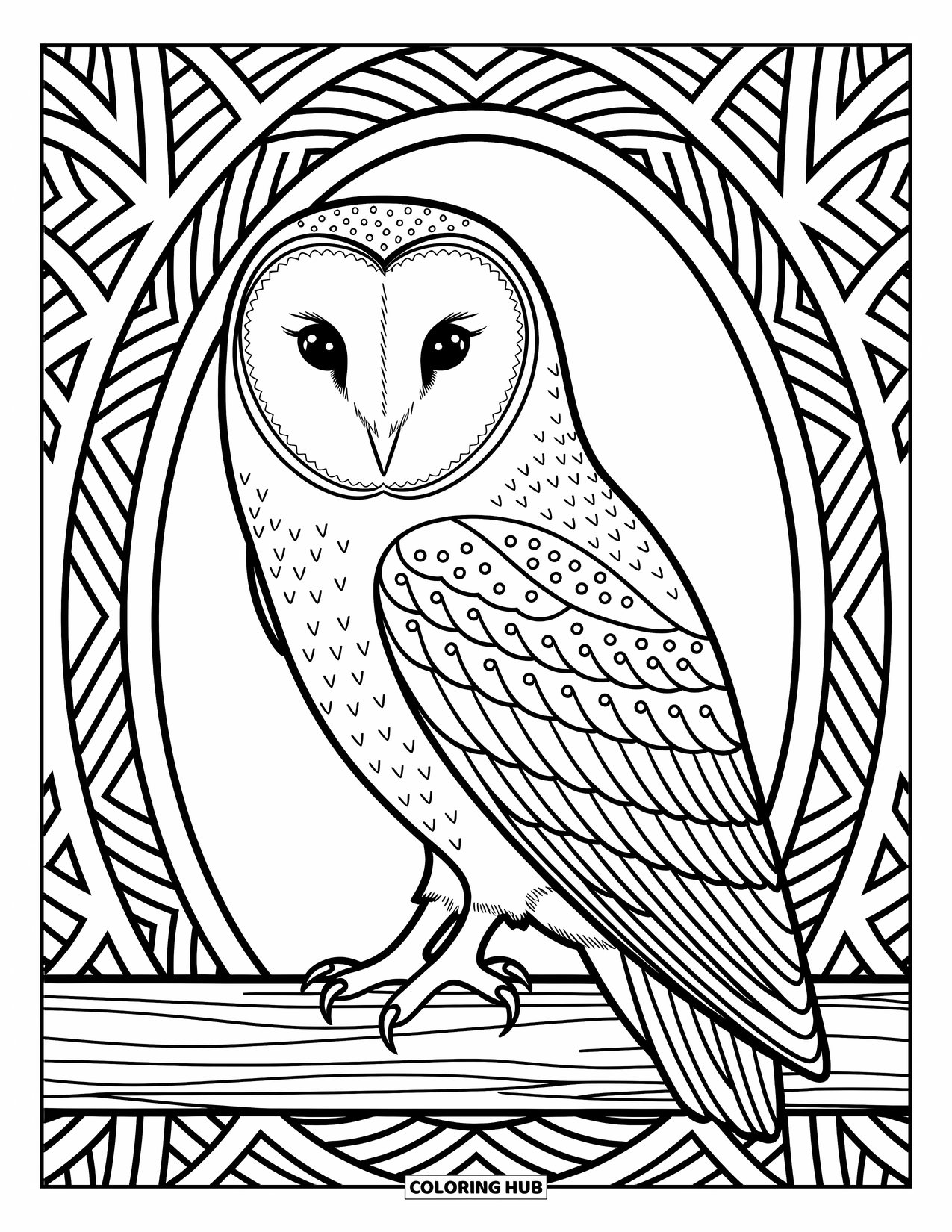 Kolorowanka ze zwierzętami gospodarskimi dla dorosłych: Płomykówka z wzorzystymi piórami siedzi spokojnie wśród eleganckich detali tła