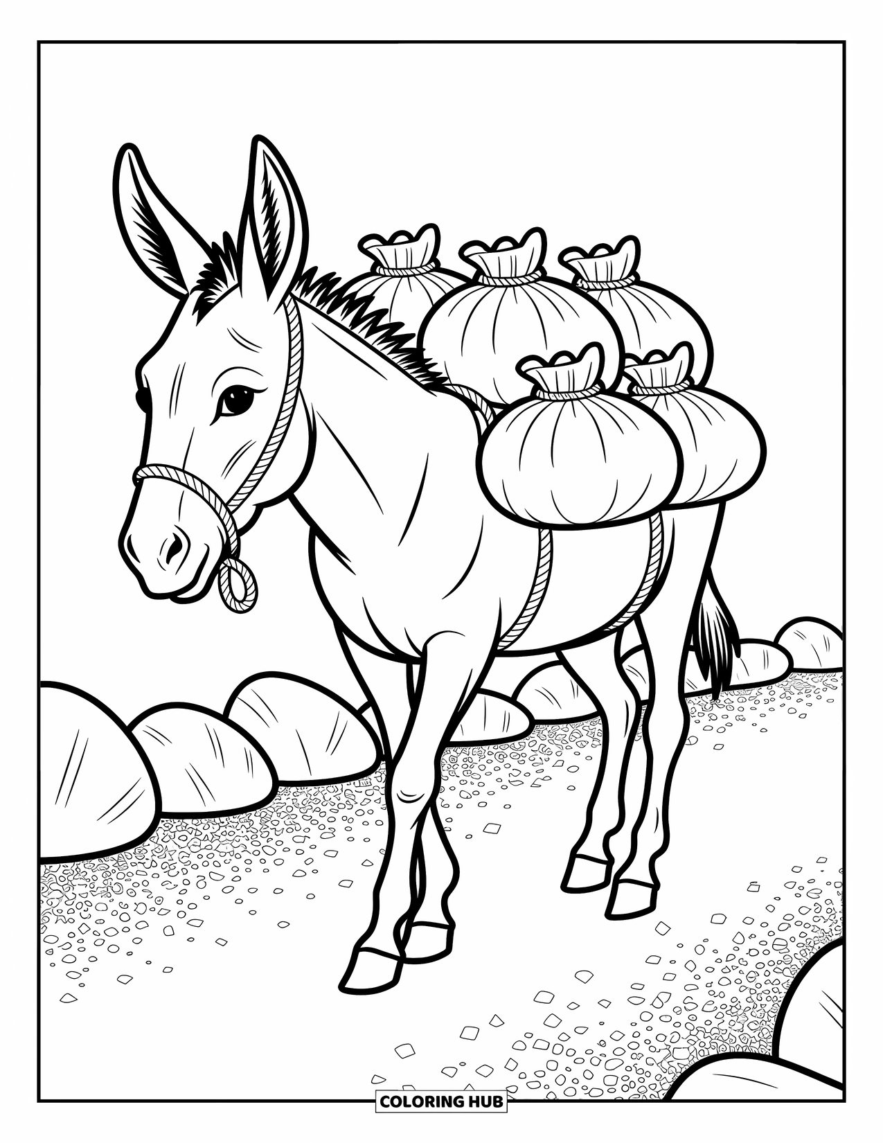Kolorowanka ze zwierzętami gospodarskimi dla dorosłych: Osioł z fałdami tkaniny i detalami liny idzie po ozdobionej żwirowej ścieżce