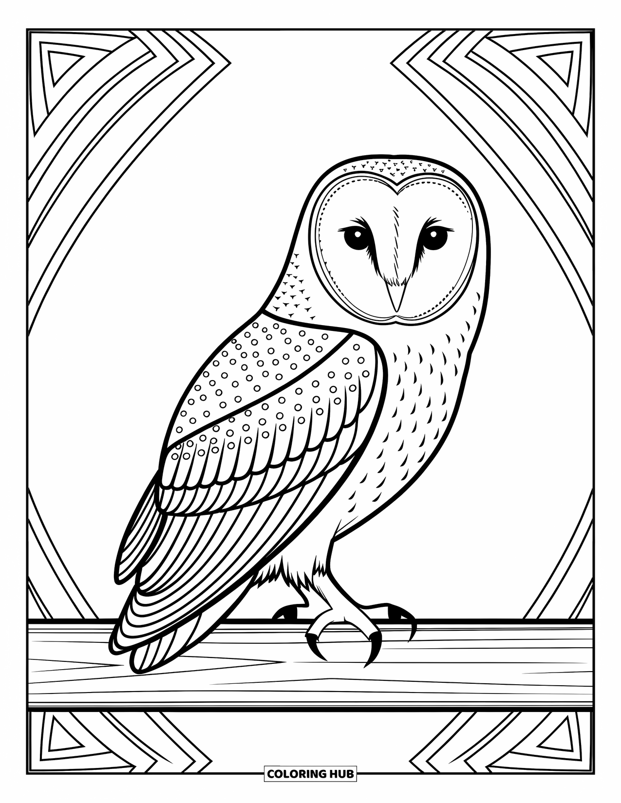 Kolorowanka ze zwierzętami gospodarskimi dla dorosłych: Pełna gracji sowa siedzi na belce otoczona symetrycznymi i skomplikowanymi wzorami
