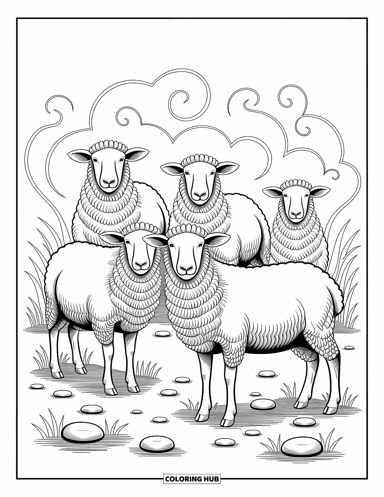 Kolorowanka ze zwierzętami gospodarskimi dla dorosłych: Grupa owiec z kręconą wełną stoi na skalistym podłożu otoczona wysoką trawą
