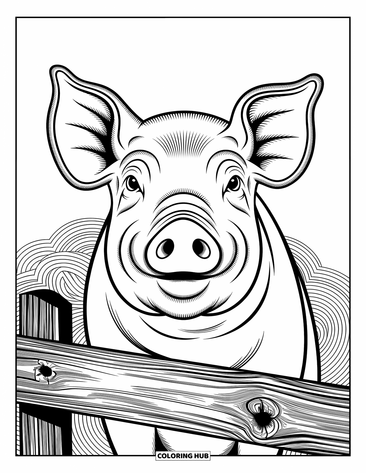 Kolorowanka ze zwierzętami gospodarskimi dla dorosłych: Pysiek świni z drobnymi zmarszczkami jest otoczony wirującymi wzorami i drewnianym płotem