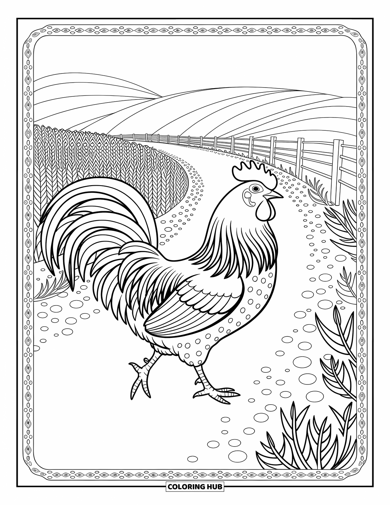 Kolorowanka ze zwierzętami gospodarskimi dla dorosłych: Kogut w trakcie kroku na ścieżce gospodarskiej ze skomplikowanymi piórami i rozrzuconymi kamykami