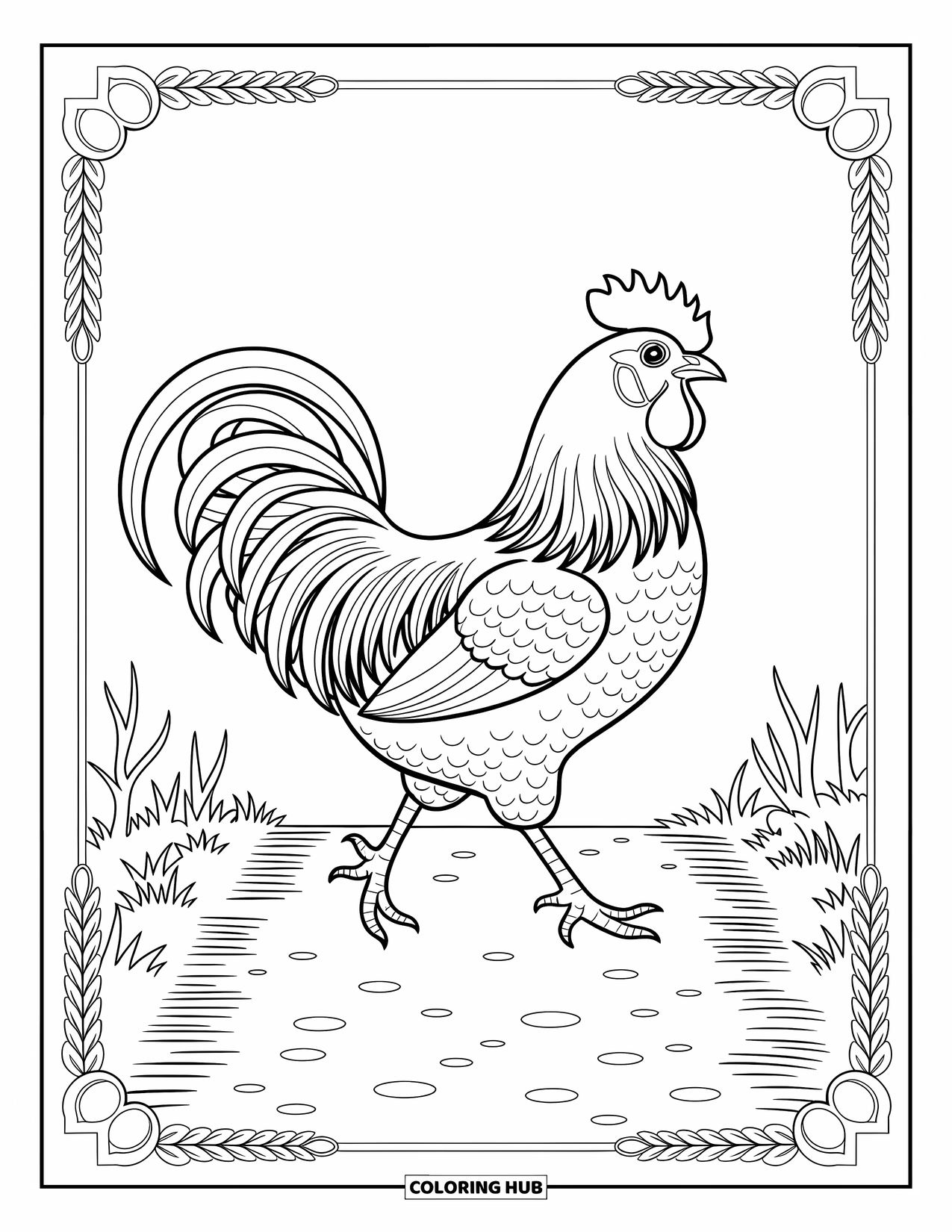 Kolorowanka ze zwierzętami gospodarskimi dla dorosłych: Kogut idzie ścieżką wyłożoną gałązkami, kamykami i artystycznymi wzorami tła
