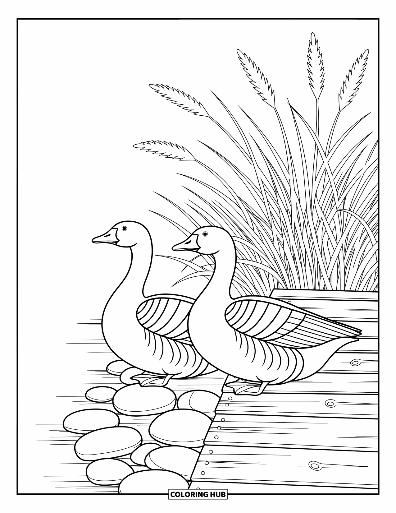 Kolorowanka ze zwierzętami gospodarskimi dla dorosłych: Głowa koguta z ozdobnymi wzorami piór i delikatnymi geometrycznymi obramowaniami