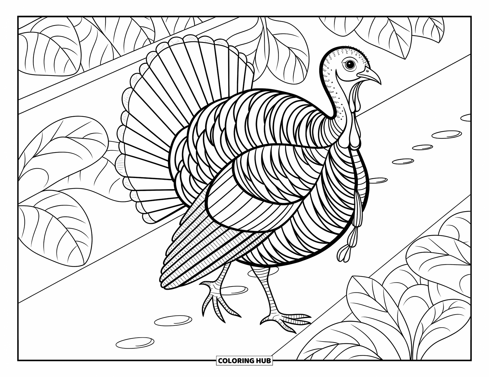 Kolorowanka ze zwierzętami gospodarskimi dla dorosłych: Indyk chodzi po grządce warzywnej, otoczony liśćmi i artystycznymi wzorami