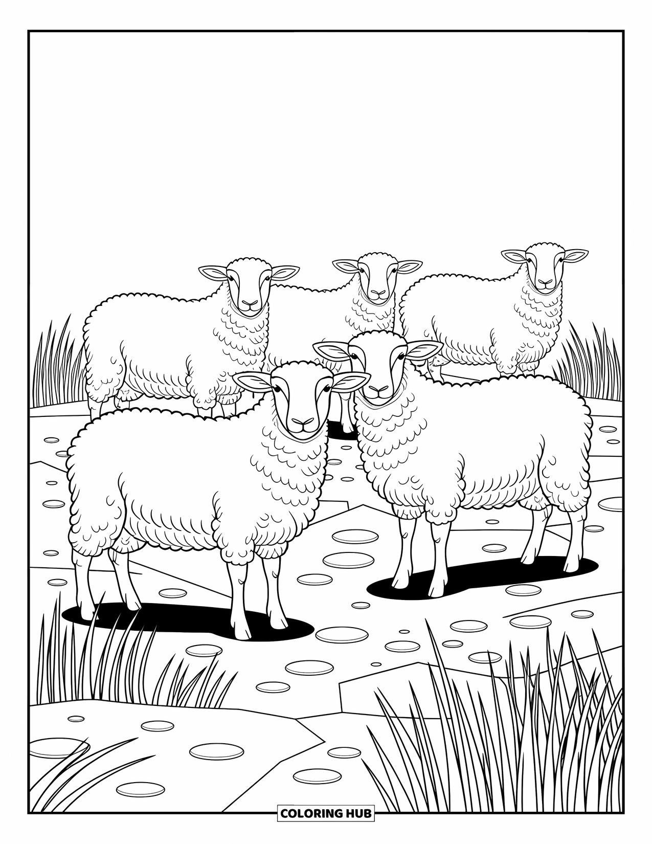 Kolorowanka ze zwierzętami gospodarskimi dla dorosłych: Owce ze szczegółową kręconą wełną stoją na nierównym podłożu z kamieniami i trawą wokół