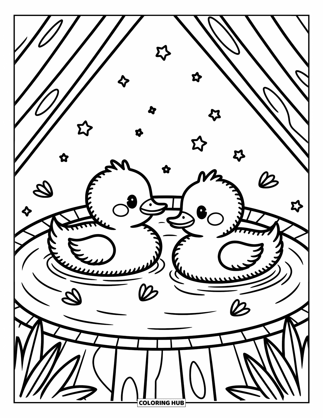 Kolorowanka ze zwierzętami gospodarskimi dla dorosłych: Dwie słodkie kaczki unoszą się w małym stawie z migoczącymi gwiazdami i unoszącymi się płatkami kwiatów