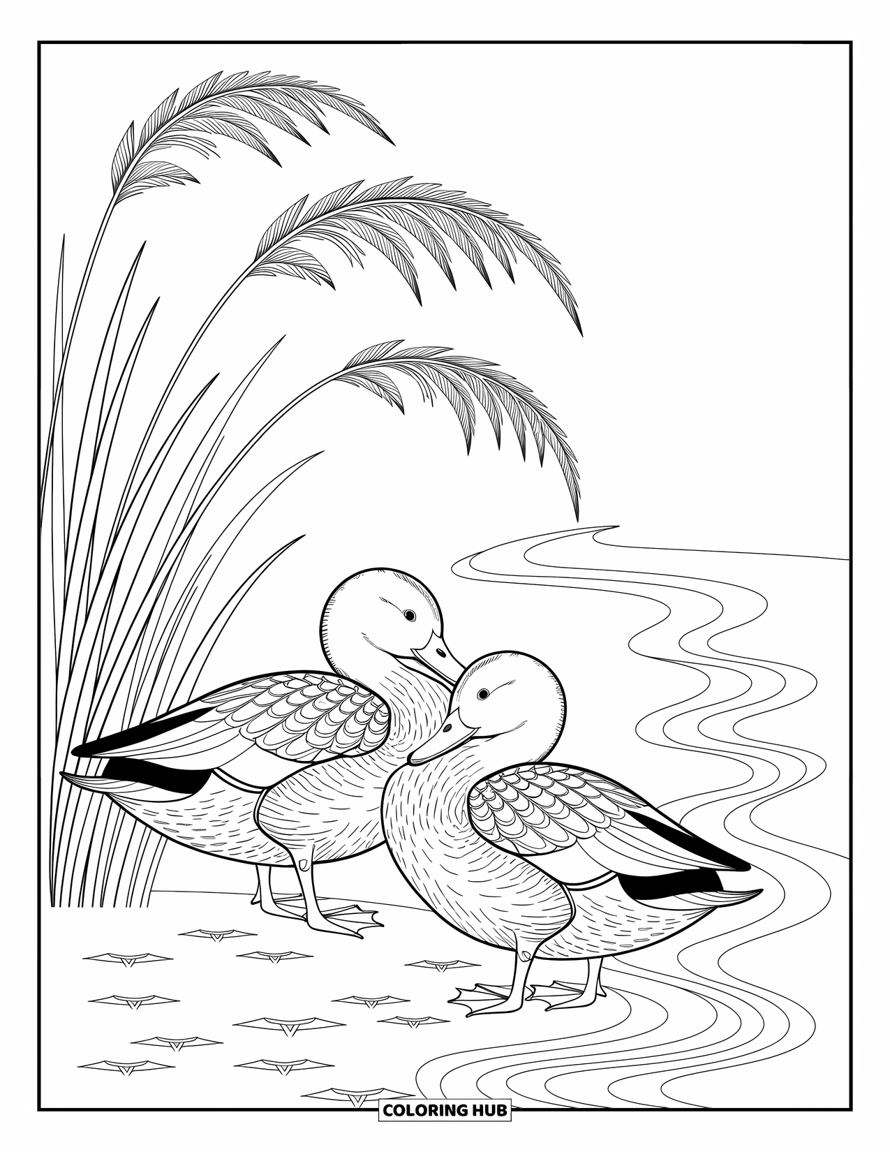 Kolorowanka ze zwierzętami gospodarskimi dla dorosłych: Dwie kaczki w pobliżu stawu pielęgnują swoje pióra, otoczone trzciną i subtelnymi falami