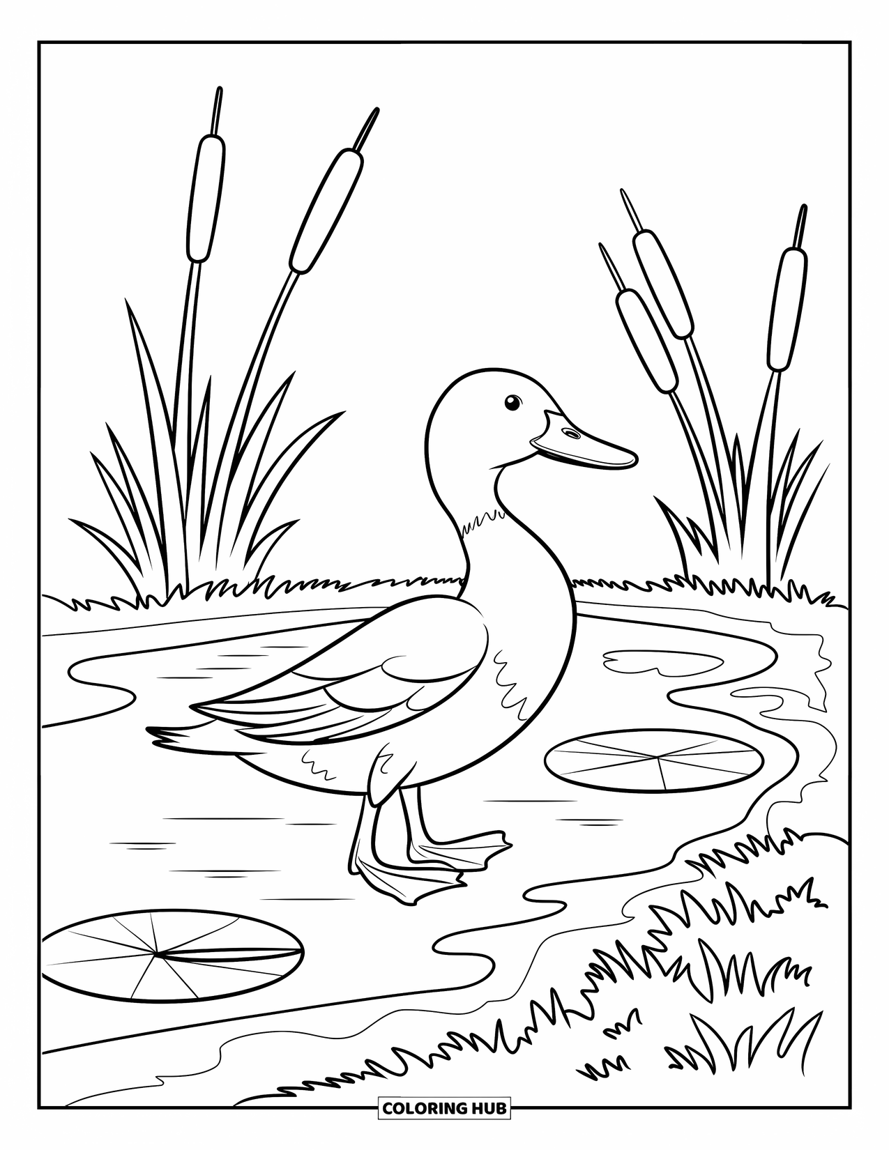 Kolorowanka ze zwierzętami gospodarskimi dla dzieci: Kaczka człapie w pobliżu stawu z pałkami wodnymi i liliami wodnymi w pobliżu