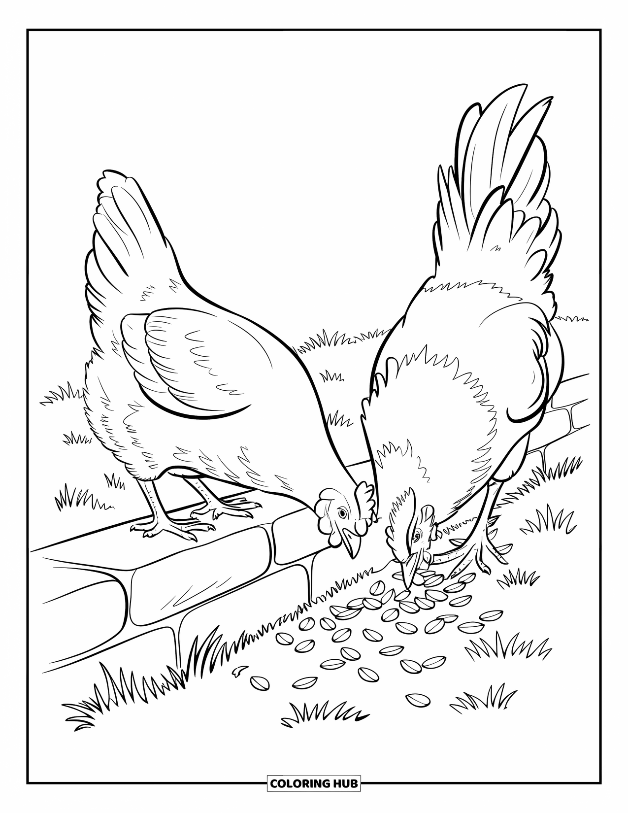 Kolorowanka ze zwierzętami gospodarskimi dla dzieci: Kura i kogut dziobią ziarna przy kamiennym murze na polu