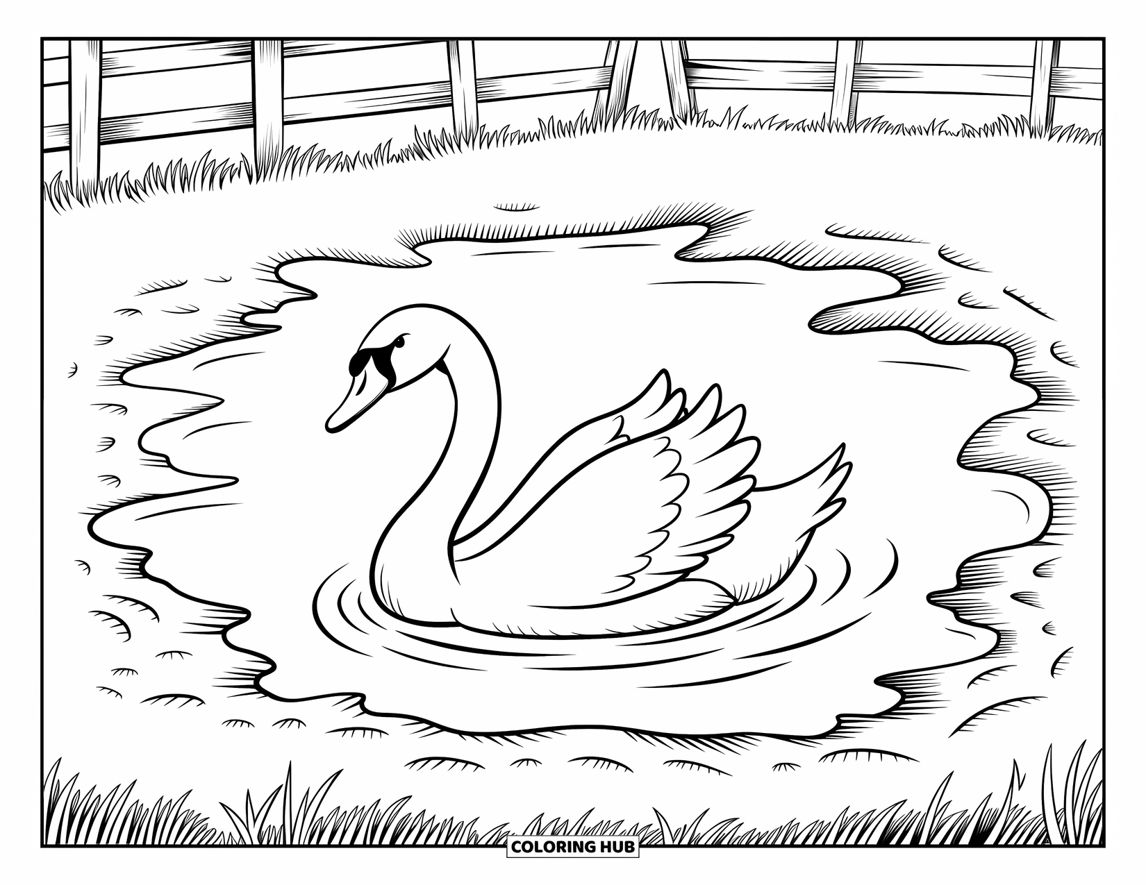 Kolorowanka ze zwierzętami gospodarskimi dla dzieci: Łabędź płynie w stawie hodowlanym z płotem i trawiastym polem wokół