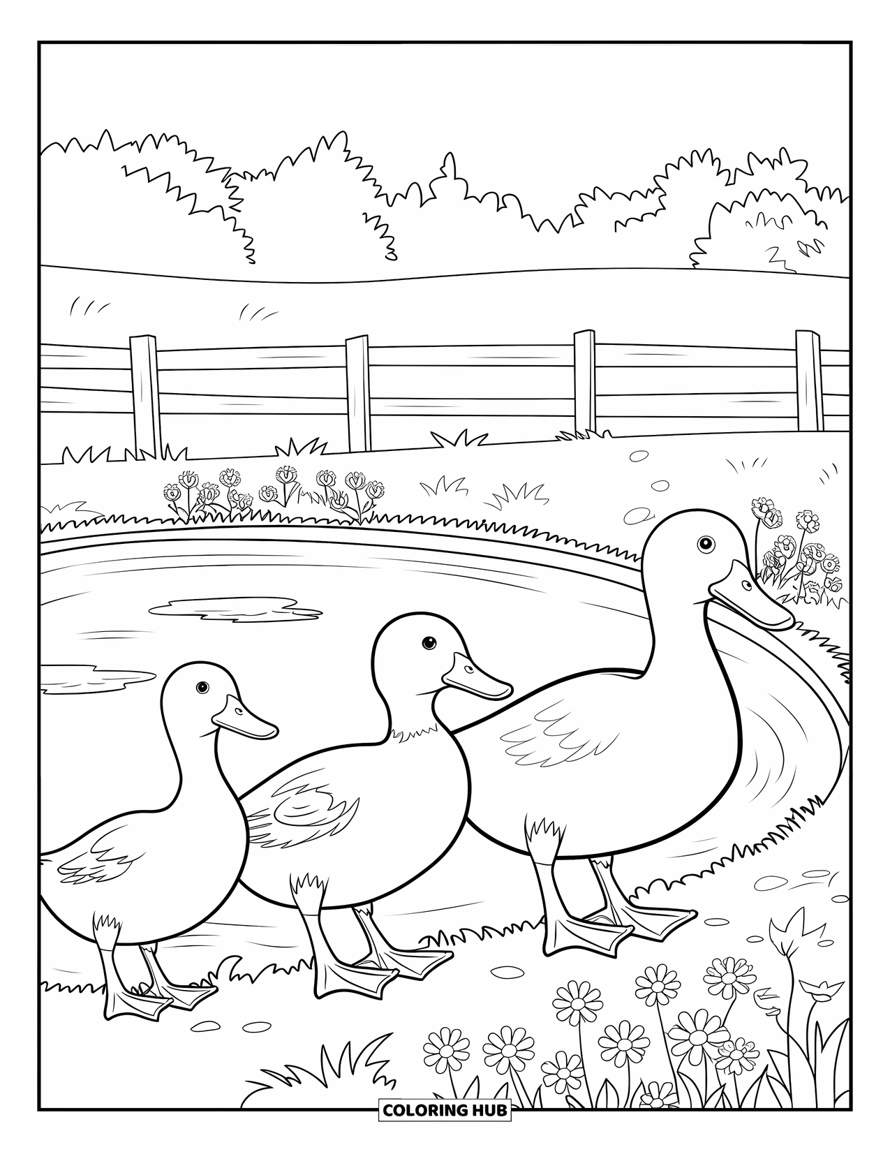 Kolorowanka ze zwierzętami gospodarskimi dla dzieci: Kaczuszki podążają za matką nad stawem otoczonym trawą i kwiatami