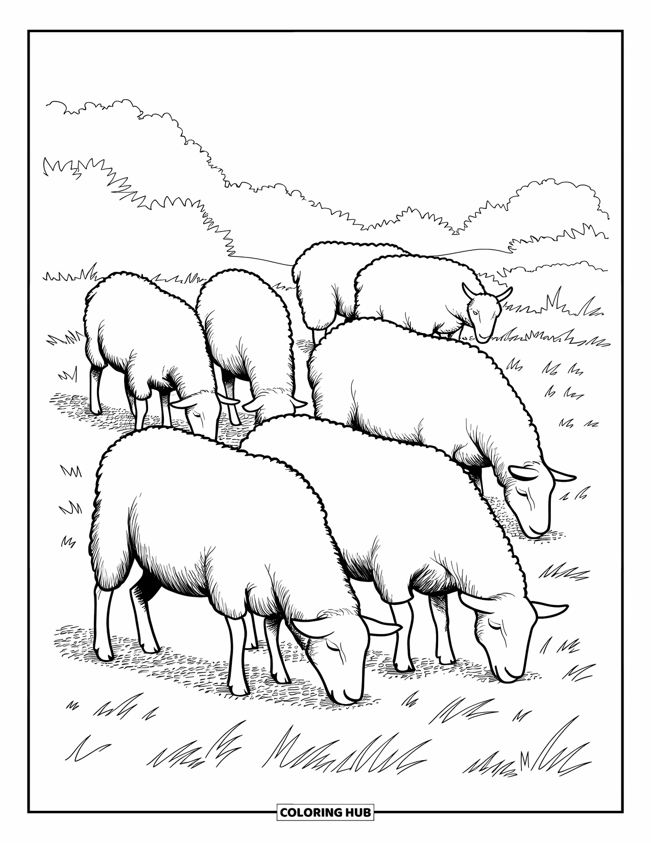 Kolorowanka ze zwierzętami gospodarskimi dla dzieci: Owce pasą się spokojnie na łące z drzewami w oddali