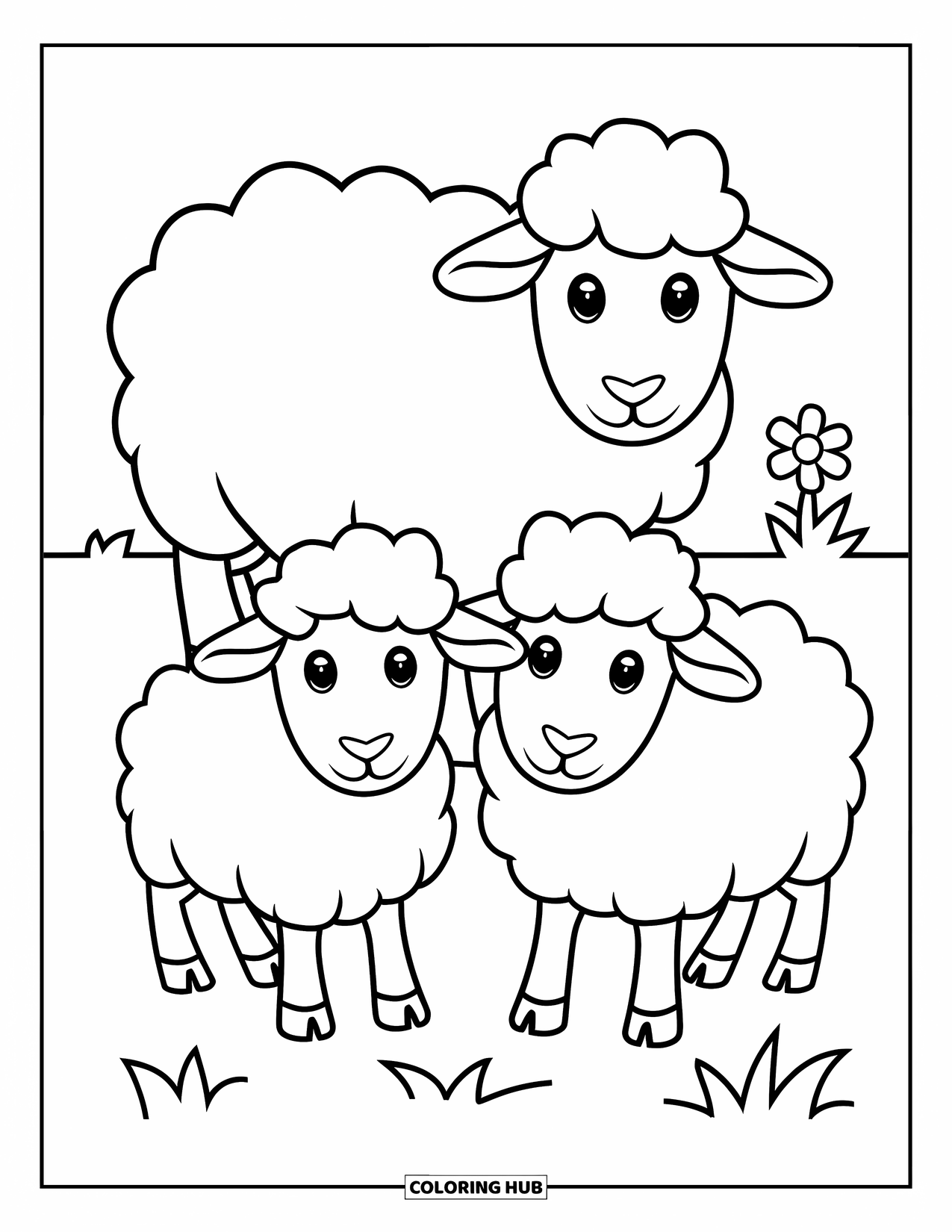 Kolorowanka ze zwierzętami gospodarskimi dla dzieci: Dwie puszyste owce stoją na trawie z małym kwiatkiem w pobliżu