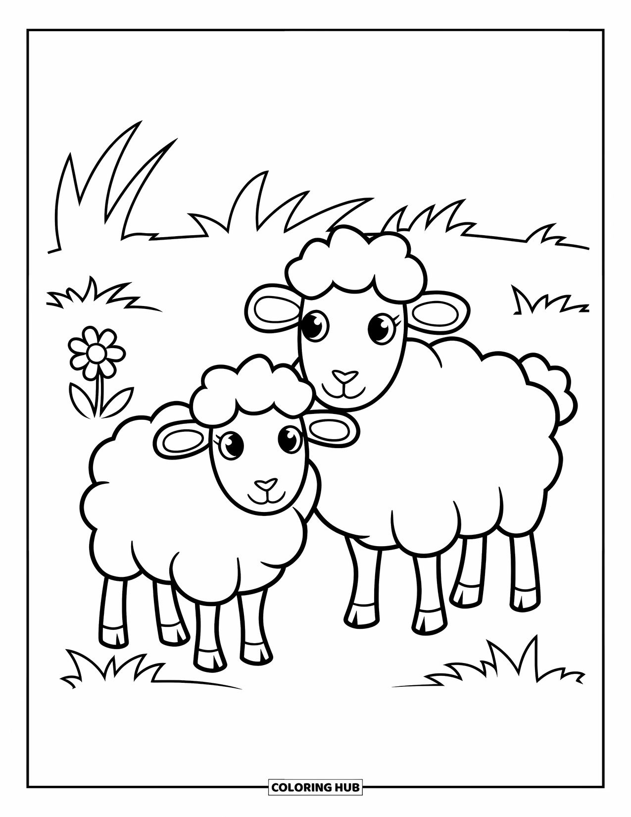 Kolorowanka ze zwierzętami gospodarskimi dla dzieci: Dwie puszyste owce stoją na trawie z małym kwiatkiem w pobliżu