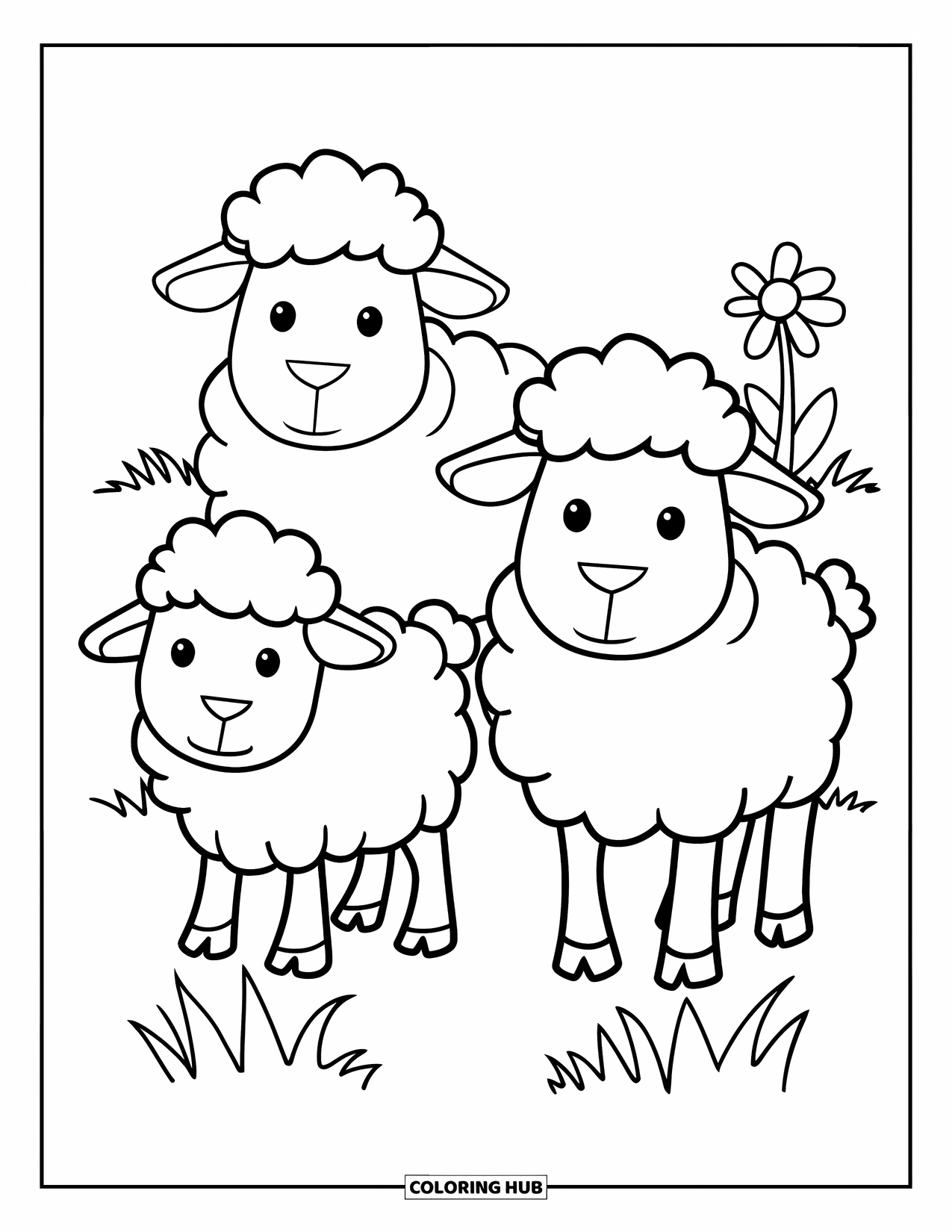 Kolorowanka ze zwierzętami gospodarskimi dla dzieci: Dwie owce stoją na miękkiej trawie z małym kwiatkiem obok nich