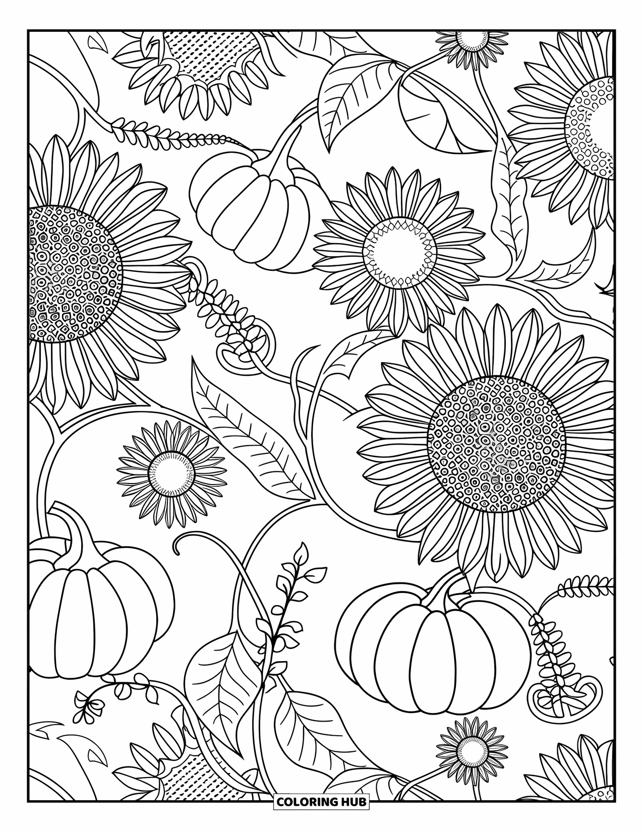 Dibujo de granja para colorear para adultos: Una hermosa composición de calabazas, girasoles y elegantes enredaderas arremolinadas