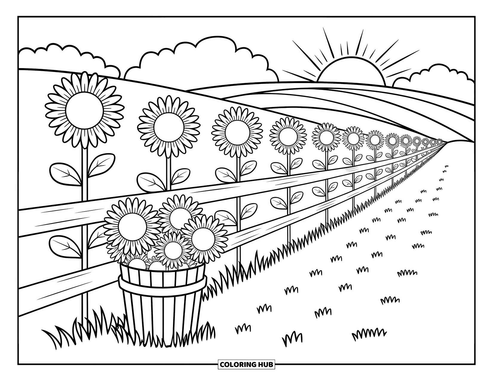 Disegno da colorare Fattoria per adulti: Una recinzione rustica con girasoli luminosi e un secchio di fiori nelle vicinanze