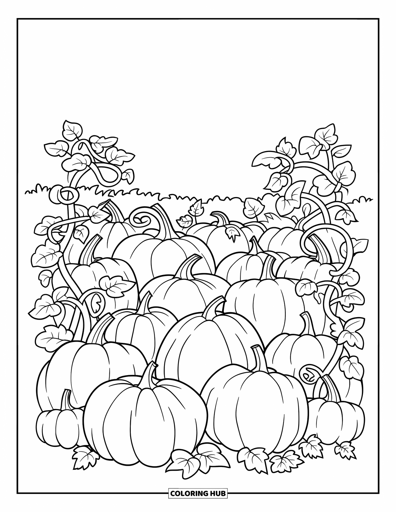 Disegno da colorare Fattoria per bambini: Un affascinante campo di zucche con viti in fiore e zucche sparse