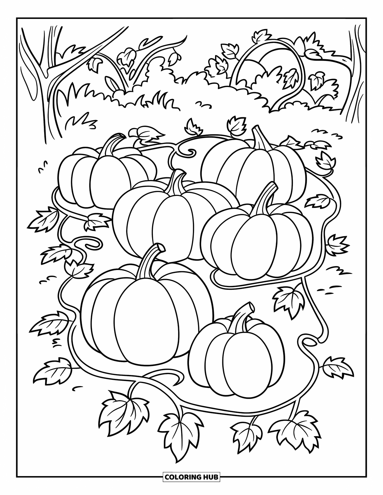 Disegno da colorare Fattoria per bambini: Un campo di zucche accogliente con viti frondose e un cielo sereno