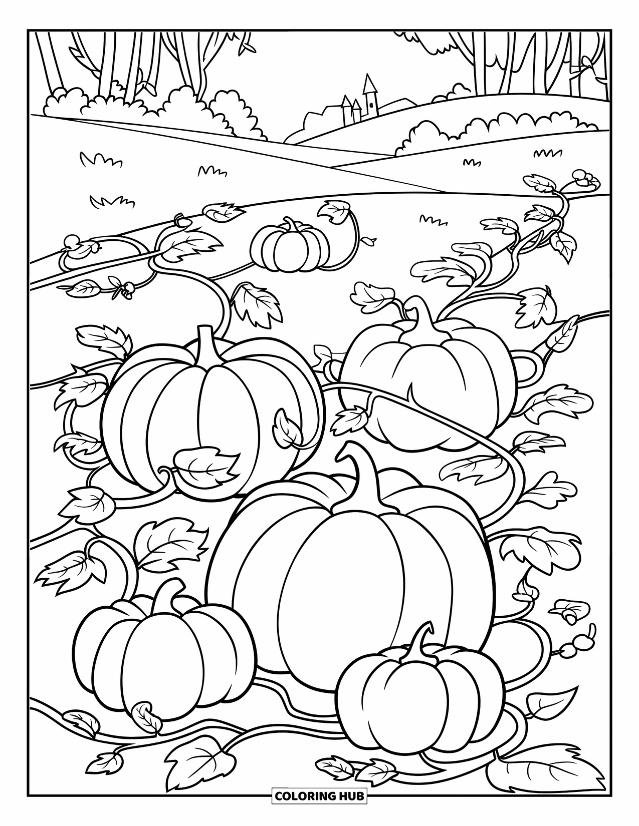 Disegno da colorare Fattoria per bambini: Un campo di zucche con viti tortuose e zucche di tutte le dimensioni