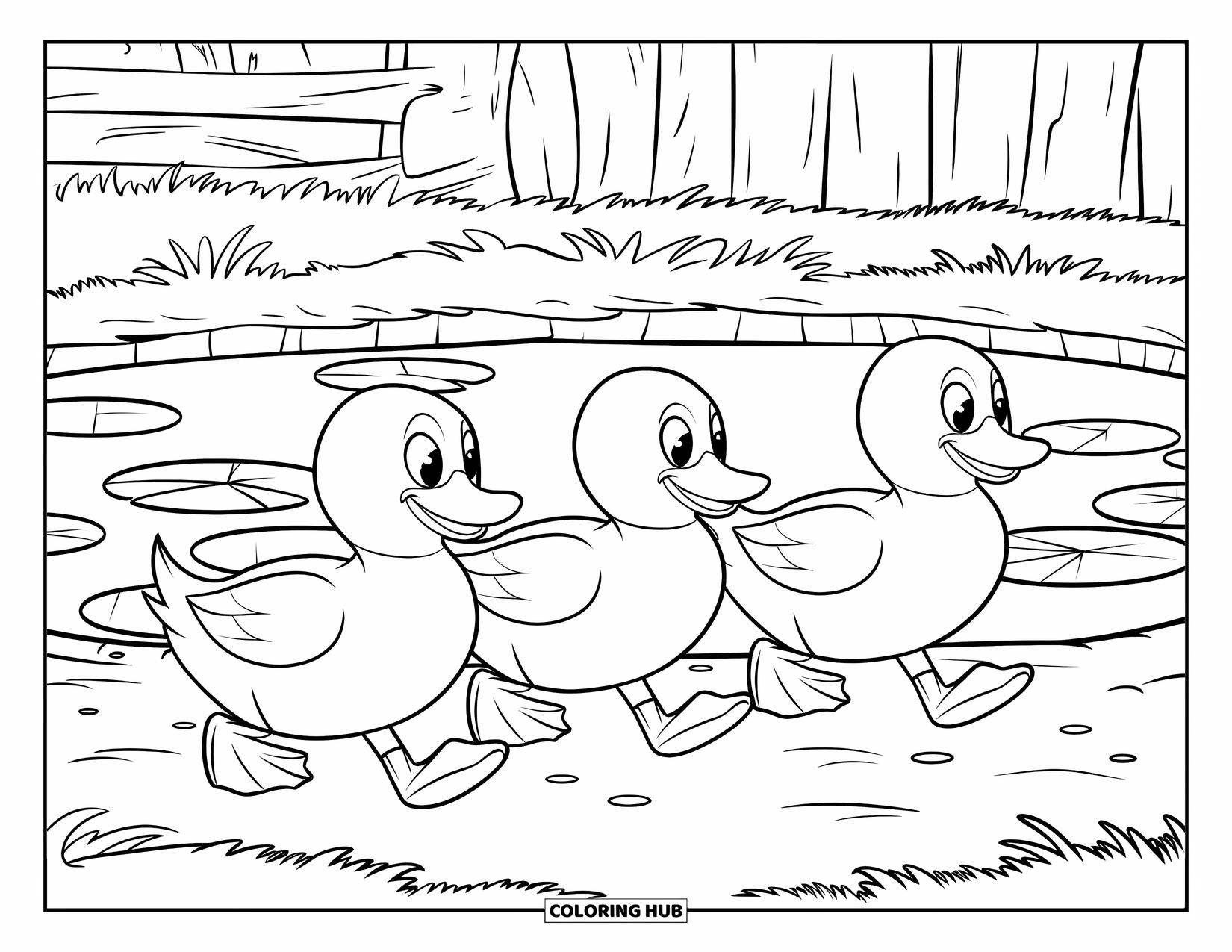 Disegno da colorare Fattoria per bambini: Tre anatre ondeggiano vicino a un laghetto tranquillo circondato da erba alta