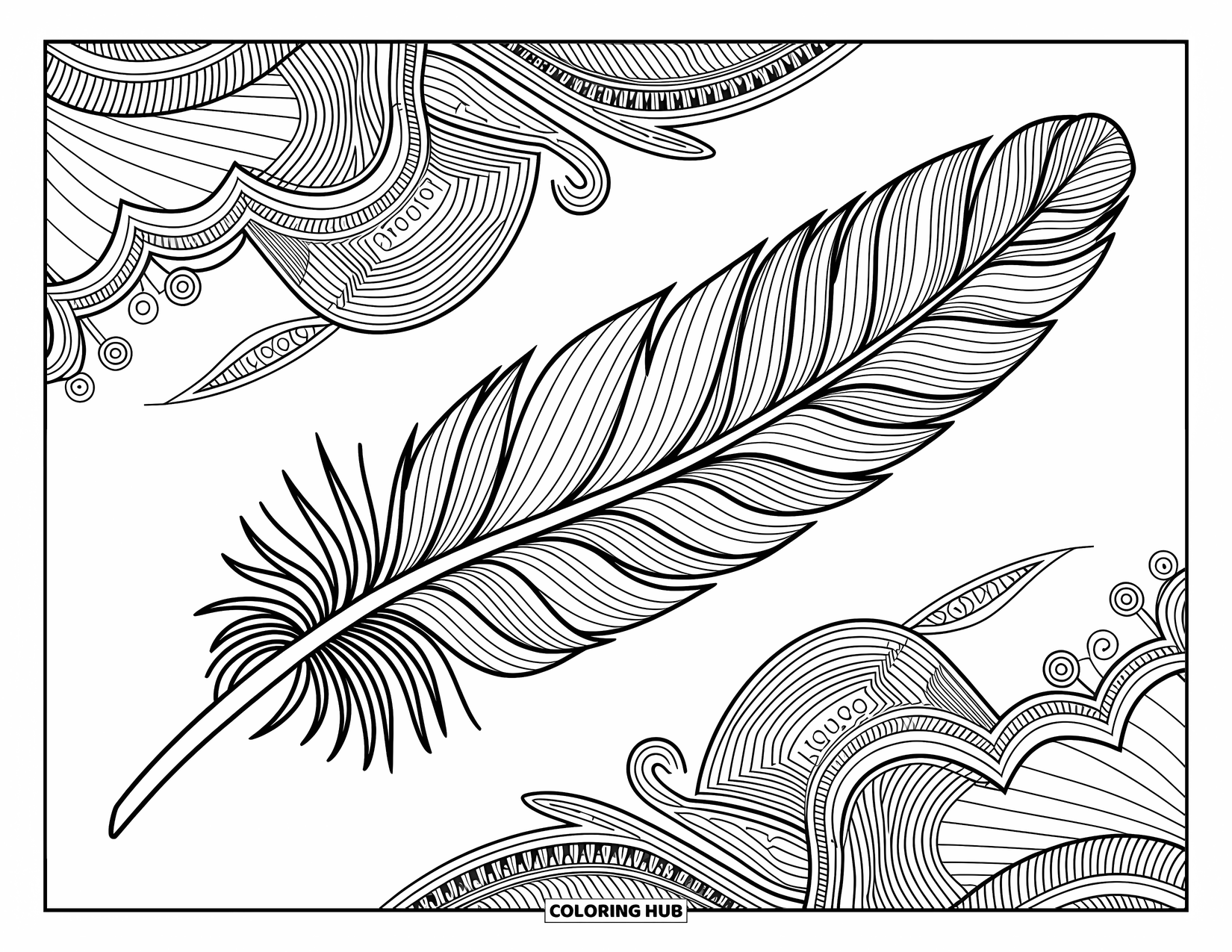 Desenho de pena para colorir para adultos: Uma pena com espirais, ondas e bordas detalhadas